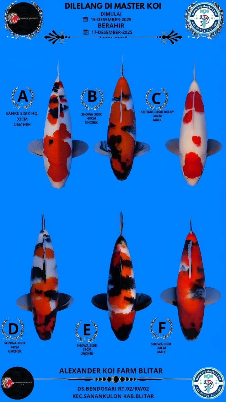 Lelang Koi Online, Jual Beli Ikan Koi, Pasar Koi Terbaik, Agen Lelang Koi, Penawaran Koi Berkualitas, Harga Jual Koi, Lelang Ikan Koi Import, Beli Koi Online, Jual Koi Murah, Koi Showroom, Penjual Koi Terpercaya, Lelang Koi Jakarta, Jual Koi Lokal, Koi Kualitas Unggul, Harga Terbaik Koi, Jual Koi Indukan, Lelang Ikan Hias Koi, Pasar Koi Indonesia, Beli Koi Berkualitas Tinggi, Koi Farm Terbesar, Jual Beli Koi Impor, Lelang Ikan Koi Kualitas Premium, Daftar Harga Koi Terbaru, Pusat Jual Beli Koi, Info Lelang Koi Hari Ini.