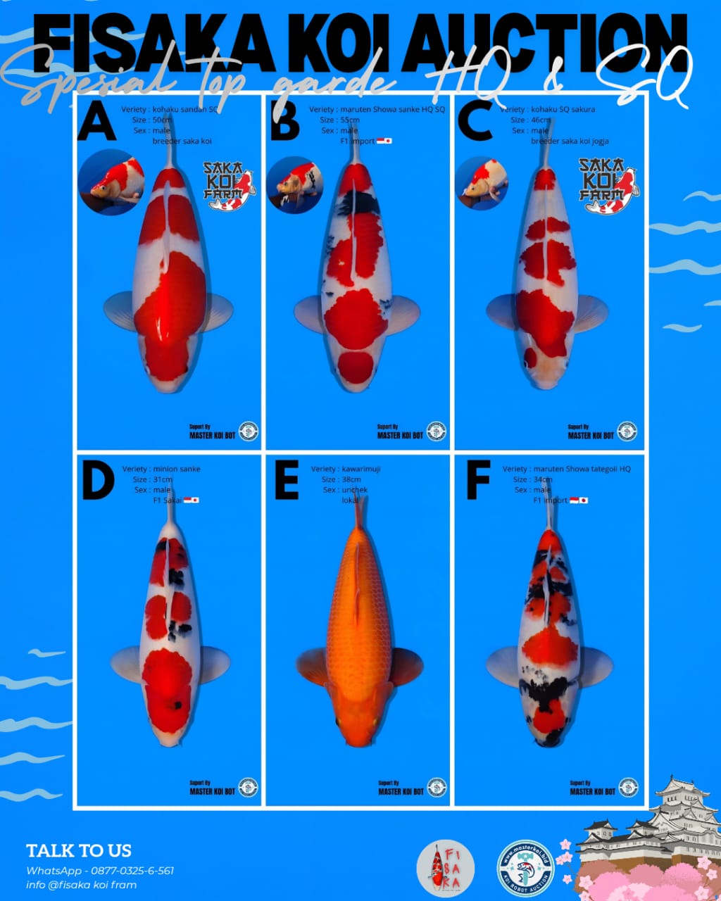 Lelang Koi Online, Jual Beli Ikan Koi, Pasar Koi Terbaik, Agen Lelang Koi, Penawaran Koi Berkualitas, Harga Jual Koi, Lelang Ikan Koi Import, Beli Koi Online, Jual Koi Murah, Koi Showroom, Penjual Koi Terpercaya, Lelang Koi Jakarta, Jual Koi Lokal, Koi Kualitas Unggul, Harga Terbaik Koi, Jual Koi Indukan, Lelang Ikan Hias Koi, Pasar Koi Indonesia, Beli Koi Berkualitas Tinggi, Koi Farm Terbesar, Jual Beli Koi Impor, Lelang Ikan Koi Kualitas Premium, Daftar Harga Koi Terbaru, Pusat Jual Beli Koi, Info Lelang Koi Hari Ini.