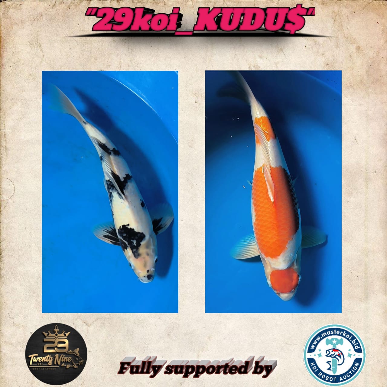 Lelang Koi Online, Jual Beli Ikan Koi, Pasar Koi Terbaik, Agen Lelang Koi, Penawaran Koi Berkualitas, Harga Jual Koi, Lelang Ikan Koi Import, Beli Koi Online, Jual Koi Murah, Koi Showroom, Penjual Koi Terpercaya, Lelang Koi Jakarta, Jual Koi Lokal, Koi Kualitas Unggul, Harga Terbaik Koi, Jual Koi Indukan, Lelang Ikan Hias Koi, Pasar Koi Indonesia, Beli Koi Berkualitas Tinggi, Koi Farm Terbesar, Jual Beli Koi Impor, Lelang Ikan Koi Kualitas Premium, Daftar Harga Koi Terbaru, Pusat Jual Beli Koi, Info Lelang Koi Hari Ini.