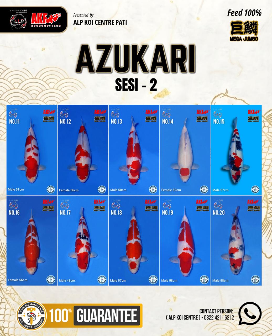 Lelang Koi Online, Jual Beli Ikan Koi, Pasar Koi Terbaik, Agen Lelang Koi, Penawaran Koi Berkualitas, Harga Jual Koi, Lelang Ikan Koi Import, Beli Koi Online, Jual Koi Murah, Koi Showroom, Penjual Koi Terpercaya, Lelang Koi Jakarta, Jual Koi Lokal, Koi Kualitas Unggul, Harga Terbaik Koi, Jual Koi Indukan, Lelang Ikan Hias Koi, Pasar Koi Indonesia, Beli Koi Berkualitas Tinggi, Koi Farm Terbesar, Jual Beli Koi Impor, Lelang Ikan Koi Kualitas Premium, Daftar Harga Koi Terbaru, Pusat Jual Beli Koi, Info Lelang Koi Hari Ini.