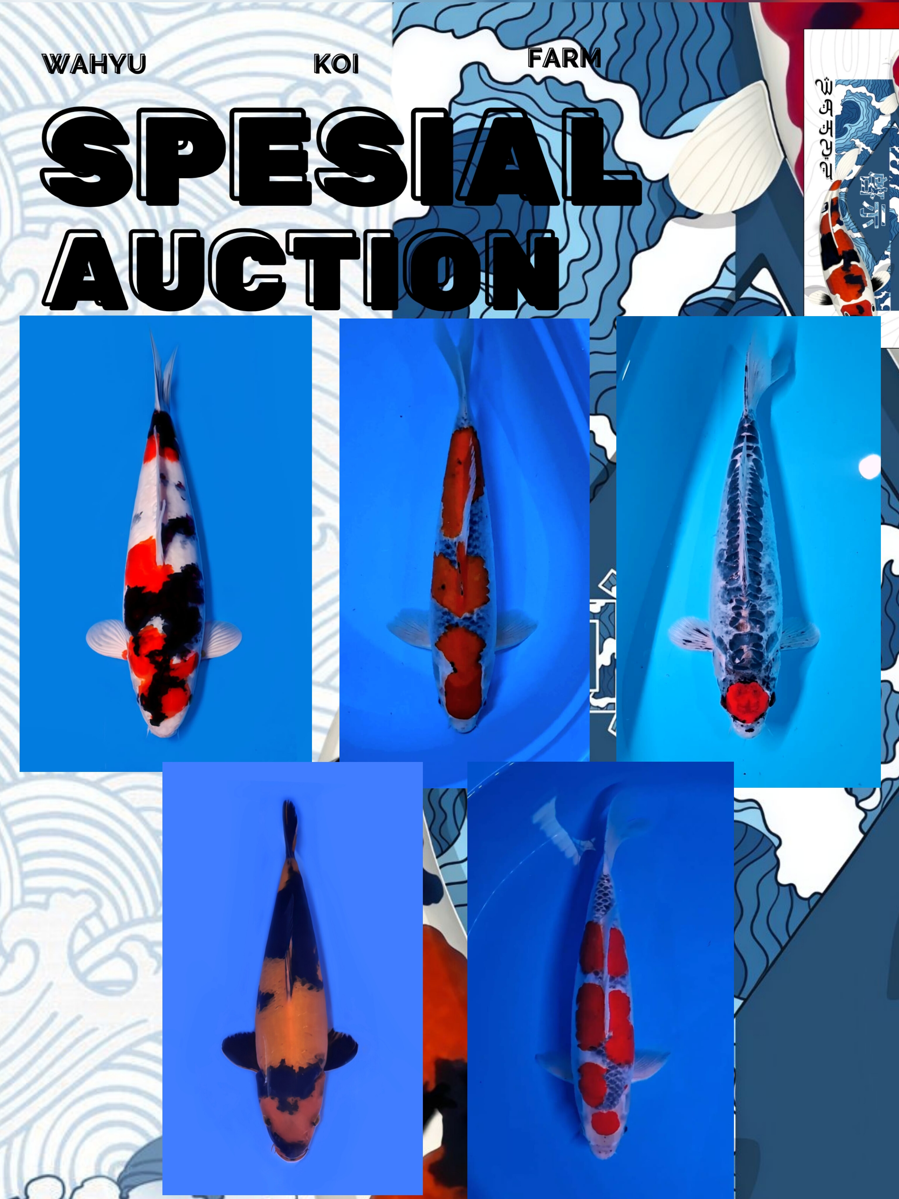 Lelang Koi Online, Jual Beli Ikan Koi, Pasar Koi Terbaik, Agen Lelang Koi, Penawaran Koi Berkualitas, Harga Jual Koi, Lelang Ikan Koi Import, Beli Koi Online, Jual Koi Murah, Koi Showroom, Penjual Koi Terpercaya, Lelang Koi Jakarta, Jual Koi Lokal, Koi Kualitas Unggul, Harga Terbaik Koi, Jual Koi Indukan, Lelang Ikan Hias Koi, Pasar Koi Indonesia, Beli Koi Berkualitas Tinggi, Koi Farm Terbesar, Jual Beli Koi Impor, Lelang Ikan Koi Kualitas Premium, Daftar Harga Koi Terbaru, Pusat Jual Beli Koi, Info Lelang Koi Hari Ini.