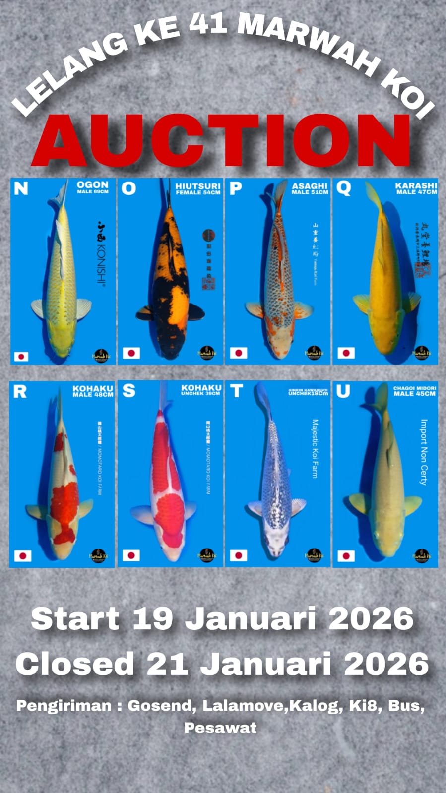 Lelang Koi Online, Jual Beli Ikan Koi, Pasar Koi Terbaik, Agen Lelang Koi, Penawaran Koi Berkualitas, Harga Jual Koi, Lelang Ikan Koi Import, Beli Koi Online, Jual Koi Murah, Koi Showroom, Penjual Koi Terpercaya, Lelang Koi Jakarta, Jual Koi Lokal, Koi Kualitas Unggul, Harga Terbaik Koi, Jual Koi Indukan, Lelang Ikan Hias Koi, Pasar Koi Indonesia, Beli Koi Berkualitas Tinggi, Koi Farm Terbesar, Jual Beli Koi Impor, Lelang Ikan Koi Kualitas Premium, Daftar Harga Koi Terbaru, Pusat Jual Beli Koi, Info Lelang Koi Hari Ini.