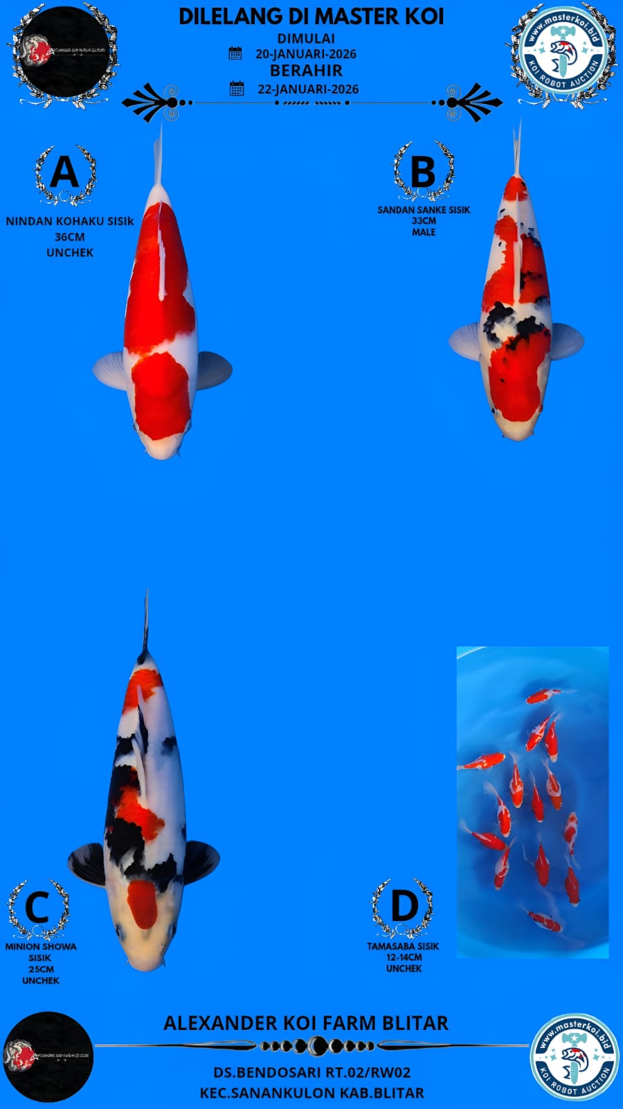 Lelang Koi Online, Jual Beli Ikan Koi, Pasar Koi Terbaik, Agen Lelang Koi, Penawaran Koi Berkualitas, Harga Jual Koi, Lelang Ikan Koi Import, Beli Koi Online, Jual Koi Murah, Koi Showroom, Penjual Koi Terpercaya, Lelang Koi Jakarta, Jual Koi Lokal, Koi Kualitas Unggul, Harga Terbaik Koi, Jual Koi Indukan, Lelang Ikan Hias Koi, Pasar Koi Indonesia, Beli Koi Berkualitas Tinggi, Koi Farm Terbesar, Jual Beli Koi Impor, Lelang Ikan Koi Kualitas Premium, Daftar Harga Koi Terbaru, Pusat Jual Beli Koi, Info Lelang Koi Hari Ini.