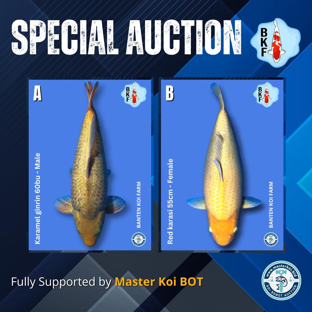 Lelang Koi Online, Jual Beli Ikan Koi, Pasar Koi Terbaik, Agen Lelang Koi, Penawaran Koi Berkualitas, Harga Jual Koi, Lelang Ikan Koi Import, Beli Koi Online, Jual Koi Murah, Koi Showroom, Penjual Koi Terpercaya, Lelang Koi Jakarta, Jual Koi Lokal, Koi Kualitas Unggul, Harga Terbaik Koi, Jual Koi Indukan, Lelang Ikan Hias Koi, Pasar Koi Indonesia, Beli Koi Berkualitas Tinggi, Koi Farm Terbesar, Jual Beli Koi Impor, Lelang Ikan Koi Kualitas Premium, Daftar Harga Koi Terbaru, Pusat Jual Beli Koi, Info Lelang Koi Hari Ini.
