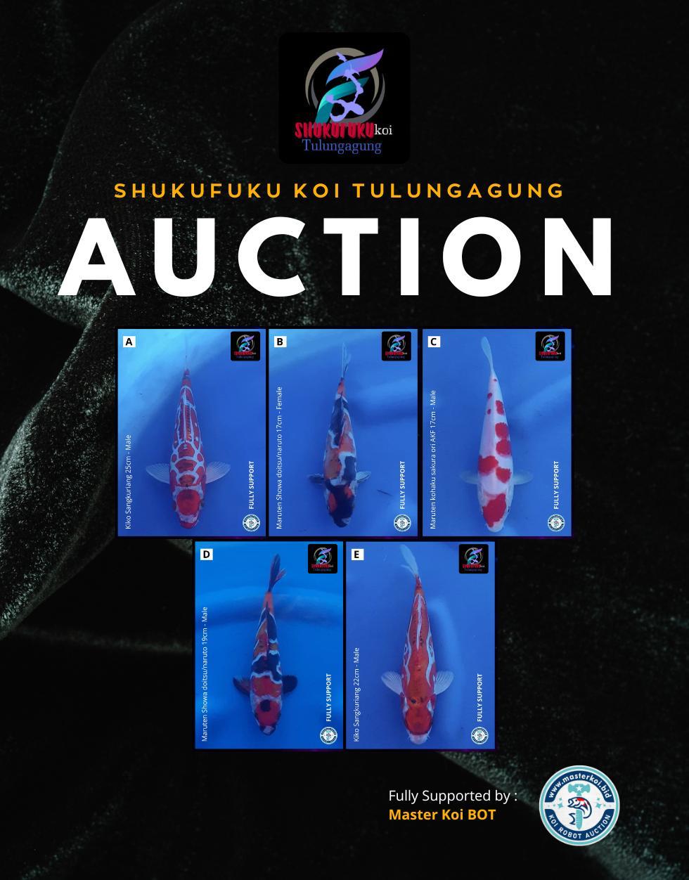 Lelang Koi Online, Jual Beli Ikan Koi, Pasar Koi Terbaik, Agen Lelang Koi, Penawaran Koi Berkualitas, Harga Jual Koi, Lelang Ikan Koi Import, Beli Koi Online, Jual Koi Murah, Koi Showroom, Penjual Koi Terpercaya, Lelang Koi Jakarta, Jual Koi Lokal, Koi Kualitas Unggul, Harga Terbaik Koi, Jual Koi Indukan, Lelang Ikan Hias Koi, Pasar Koi Indonesia, Beli Koi Berkualitas Tinggi, Koi Farm Terbesar, Jual Beli Koi Impor, Lelang Ikan Koi Kualitas Premium, Daftar Harga Koi Terbaru, Pusat Jual Beli Koi, Info Lelang Koi Hari Ini.