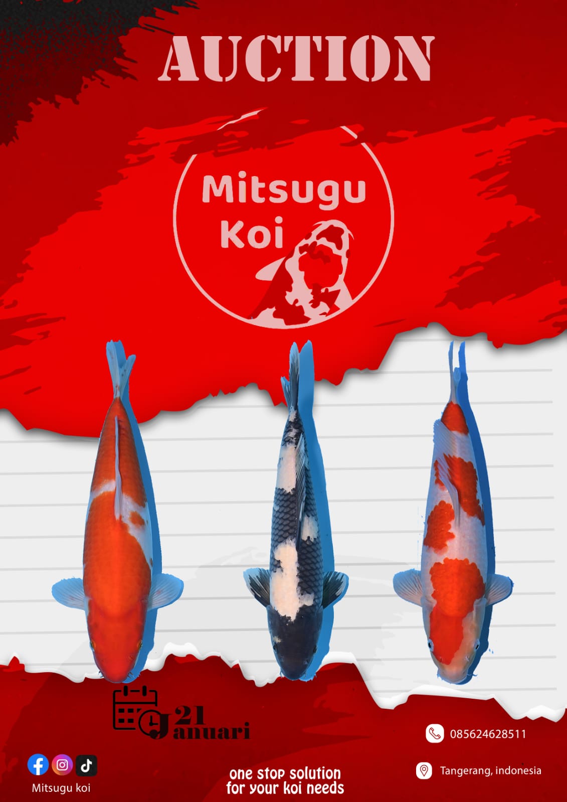 Lelang Koi Online, Jual Beli Ikan Koi, Pasar Koi Terbaik, Agen Lelang Koi, Penawaran Koi Berkualitas, Harga Jual Koi, Lelang Ikan Koi Import, Beli Koi Online, Jual Koi Murah, Koi Showroom, Penjual Koi Terpercaya, Lelang Koi Jakarta, Jual Koi Lokal, Koi Kualitas Unggul, Harga Terbaik Koi, Jual Koi Indukan, Lelang Ikan Hias Koi, Pasar Koi Indonesia, Beli Koi Berkualitas Tinggi, Koi Farm Terbesar, Jual Beli Koi Impor, Lelang Ikan Koi Kualitas Premium, Daftar Harga Koi Terbaru, Pusat Jual Beli Koi, Info Lelang Koi Hari Ini.
