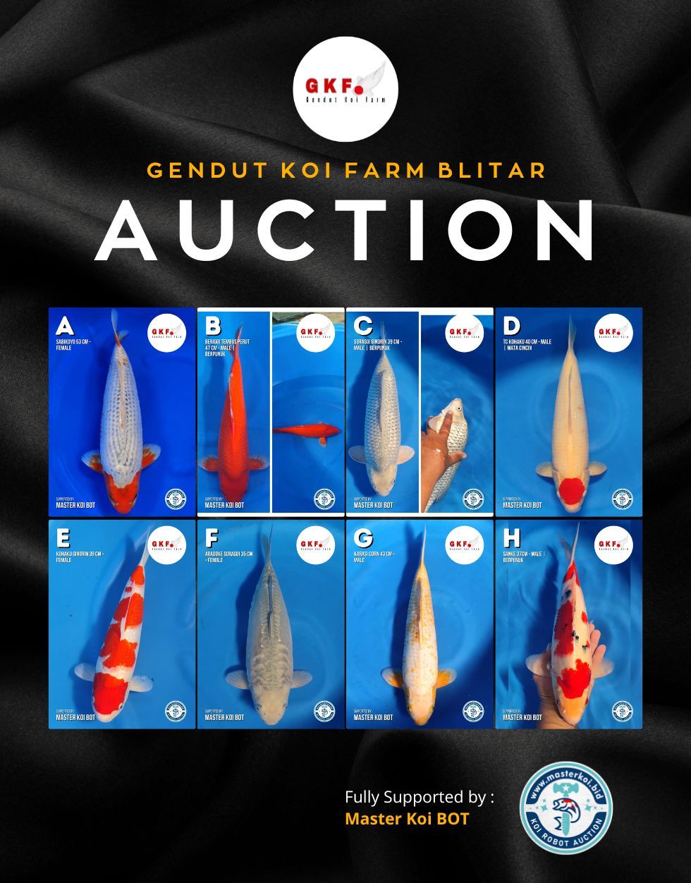 Lelang Koi Online, Jual Beli Ikan Koi, Pasar Koi Terbaik, Agen Lelang Koi, Penawaran Koi Berkualitas, Harga Jual Koi, Lelang Ikan Koi Import, Beli Koi Online, Jual Koi Murah, Koi Showroom, Penjual Koi Terpercaya, Lelang Koi Jakarta, Jual Koi Lokal, Koi Kualitas Unggul, Harga Terbaik Koi, Jual Koi Indukan, Lelang Ikan Hias Koi, Pasar Koi Indonesia, Beli Koi Berkualitas Tinggi, Koi Farm Terbesar, Jual Beli Koi Impor, Lelang Ikan Koi Kualitas Premium, Daftar Harga Koi Terbaru, Pusat Jual Beli Koi, Info Lelang Koi Hari Ini.