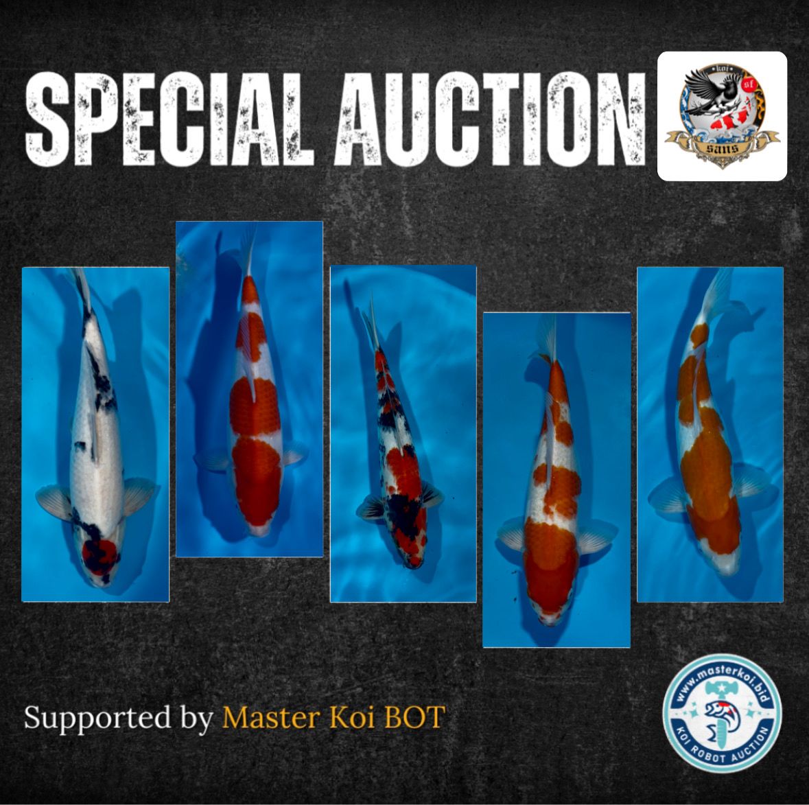 Lelang Koi Online, Jual Beli Ikan Koi, Pasar Koi Terbaik, Agen Lelang Koi, Penawaran Koi Berkualitas, Harga Jual Koi, Lelang Ikan Koi Import, Beli Koi Online, Jual Koi Murah, Koi Showroom, Penjual Koi Terpercaya, Lelang Koi Jakarta, Jual Koi Lokal, Koi Kualitas Unggul, Harga Terbaik Koi, Jual Koi Indukan, Lelang Ikan Hias Koi, Pasar Koi Indonesia, Beli Koi Berkualitas Tinggi, Koi Farm Terbesar, Jual Beli Koi Impor, Lelang Ikan Koi Kualitas Premium, Daftar Harga Koi Terbaru, Pusat Jual Beli Koi, Info Lelang Koi Hari Ini.