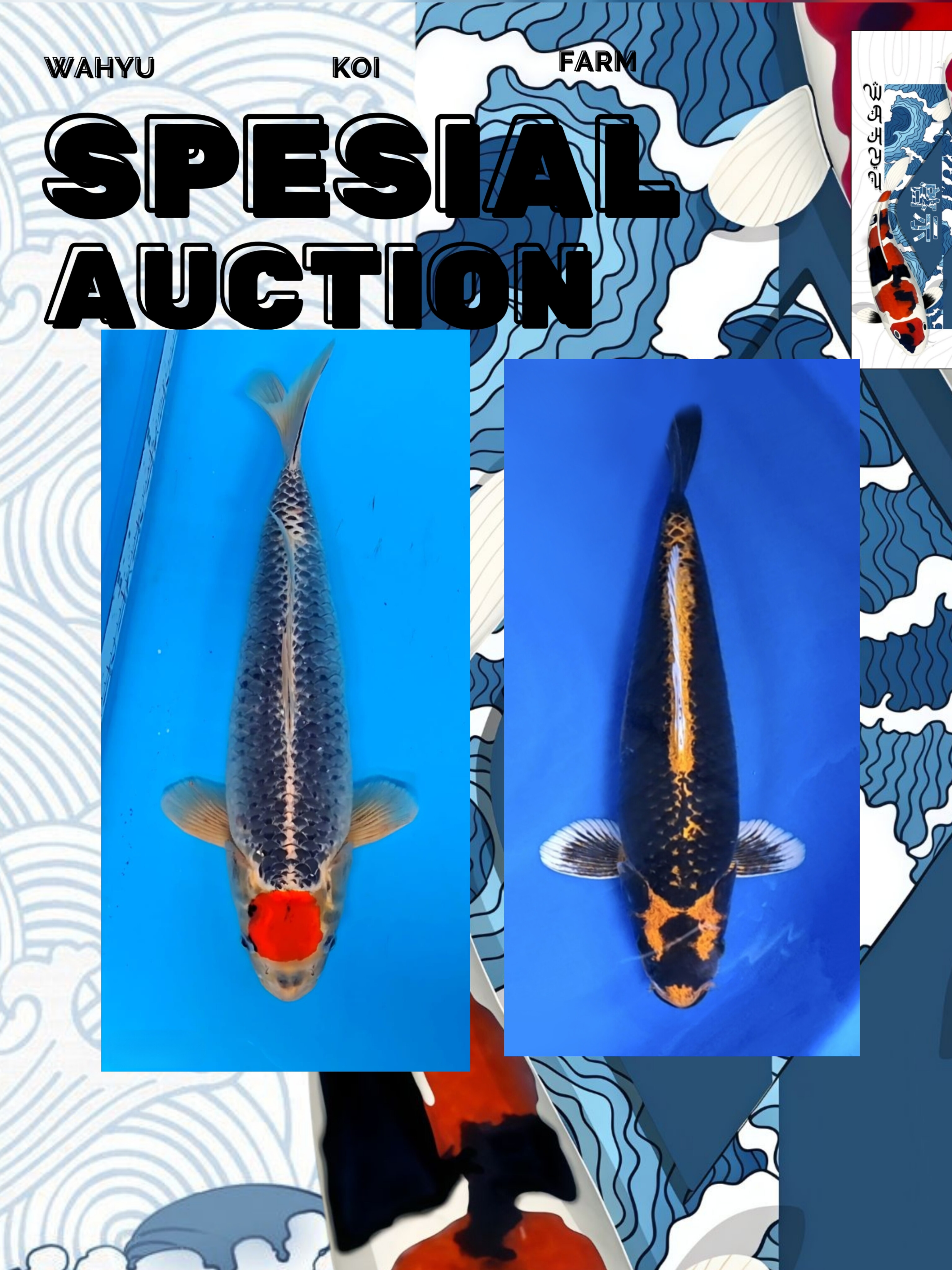 Lelang Koi Online, Jual Beli Ikan Koi, Pasar Koi Terbaik, Agen Lelang Koi, Penawaran Koi Berkualitas, Harga Jual Koi, Lelang Ikan Koi Import, Beli Koi Online, Jual Koi Murah, Koi Showroom, Penjual Koi Terpercaya, Lelang Koi Jakarta, Jual Koi Lokal, Koi Kualitas Unggul, Harga Terbaik Koi, Jual Koi Indukan, Lelang Ikan Hias Koi, Pasar Koi Indonesia, Beli Koi Berkualitas Tinggi, Koi Farm Terbesar, Jual Beli Koi Impor, Lelang Ikan Koi Kualitas Premium, Daftar Harga Koi Terbaru, Pusat Jual Beli Koi, Info Lelang Koi Hari Ini.