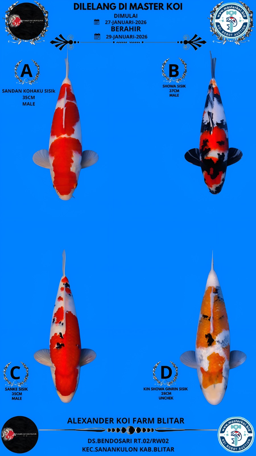 Lelang Koi Online, Jual Beli Ikan Koi, Pasar Koi Terbaik, Agen Lelang Koi, Penawaran Koi Berkualitas, Harga Jual Koi, Lelang Ikan Koi Import, Beli Koi Online, Jual Koi Murah, Koi Showroom, Penjual Koi Terpercaya, Lelang Koi Jakarta, Jual Koi Lokal, Koi Kualitas Unggul, Harga Terbaik Koi, Jual Koi Indukan, Lelang Ikan Hias Koi, Pasar Koi Indonesia, Beli Koi Berkualitas Tinggi, Koi Farm Terbesar, Jual Beli Koi Impor, Lelang Ikan Koi Kualitas Premium, Daftar Harga Koi Terbaru, Pusat Jual Beli Koi, Info Lelang Koi Hari Ini.