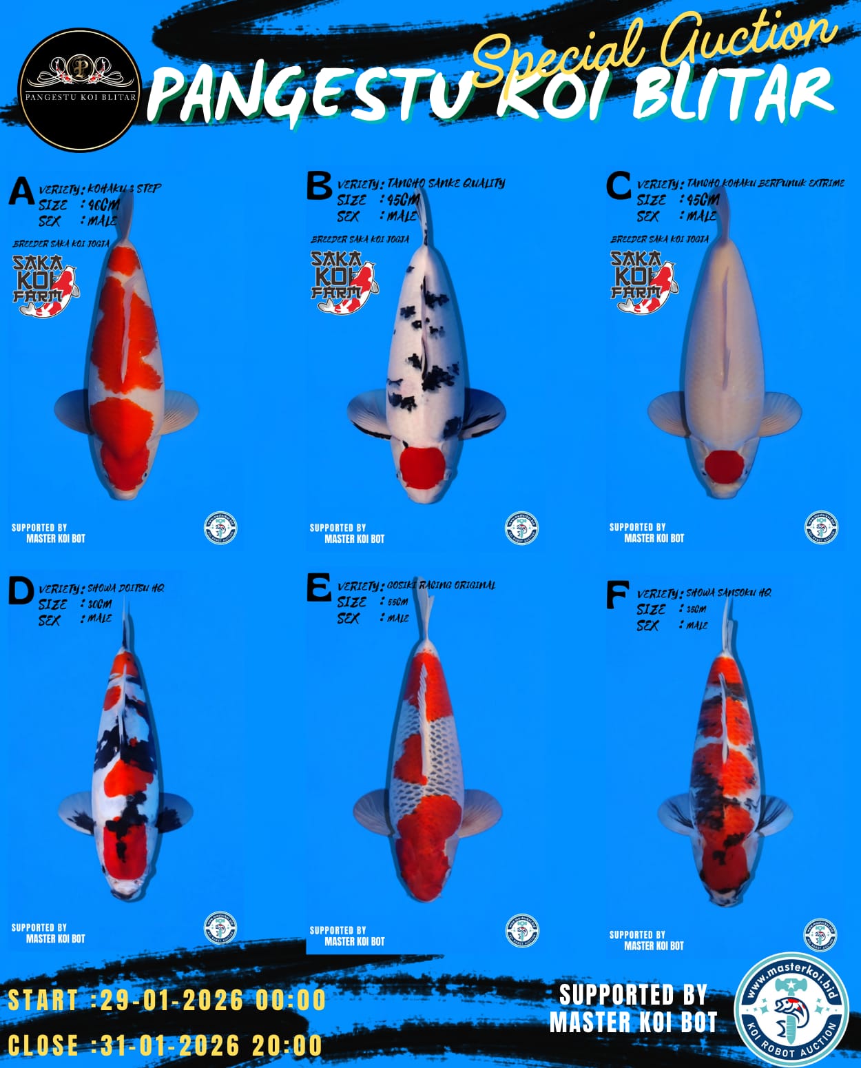 Lelang Koi Online, Jual Beli Ikan Koi, Pasar Koi Terbaik, Agen Lelang Koi, Penawaran Koi Berkualitas, Harga Jual Koi, Lelang Ikan Koi Import, Beli Koi Online, Jual Koi Murah, Koi Showroom, Penjual Koi Terpercaya, Lelang Koi Jakarta, Jual Koi Lokal, Koi Kualitas Unggul, Harga Terbaik Koi, Jual Koi Indukan, Lelang Ikan Hias Koi, Pasar Koi Indonesia, Beli Koi Berkualitas Tinggi, Koi Farm Terbesar, Jual Beli Koi Impor, Lelang Ikan Koi Kualitas Premium, Daftar Harga Koi Terbaru, Pusat Jual Beli Koi, Info Lelang Koi Hari Ini.
