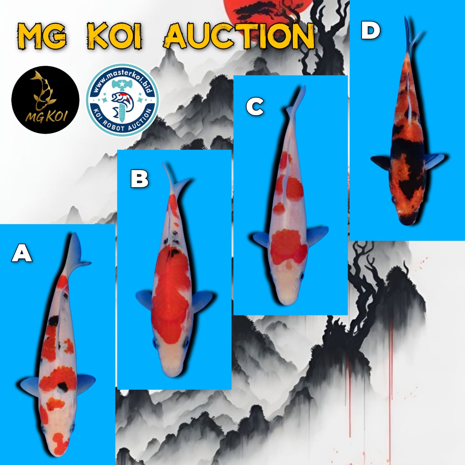 Lelang Koi Online, Jual Beli Ikan Koi, Pasar Koi Terbaik, Agen Lelang Koi, Penawaran Koi Berkualitas, Harga Jual Koi, Lelang Ikan Koi Import, Beli Koi Online, Jual Koi Murah, Koi Showroom, Penjual Koi Terpercaya, Lelang Koi Jakarta, Jual Koi Lokal, Koi Kualitas Unggul, Harga Terbaik Koi, Jual Koi Indukan, Lelang Ikan Hias Koi, Pasar Koi Indonesia, Beli Koi Berkualitas Tinggi, Koi Farm Terbesar, Jual Beli Koi Impor, Lelang Ikan Koi Kualitas Premium, Daftar Harga Koi Terbaru, Pusat Jual Beli Koi, Info Lelang Koi Hari Ini.