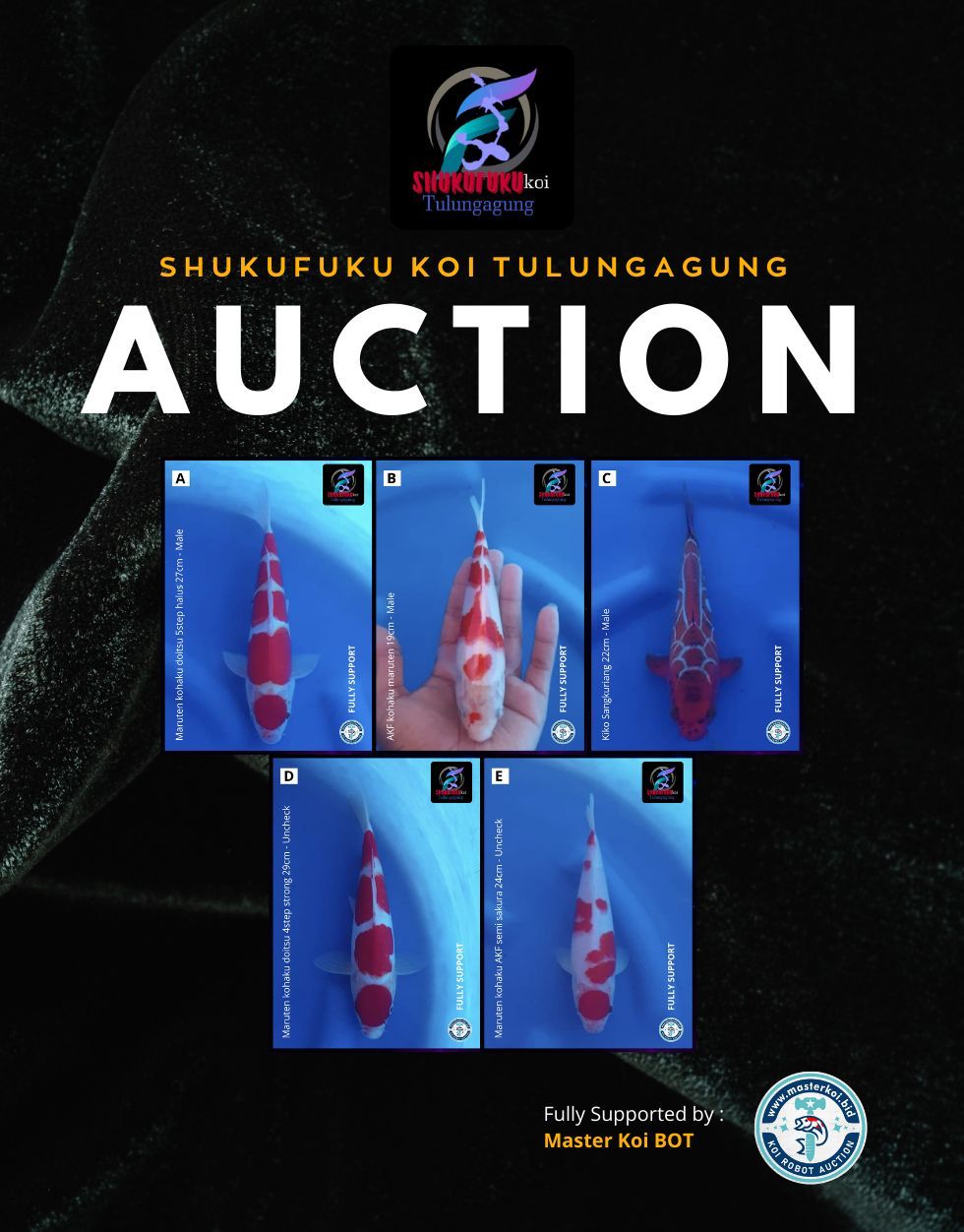 Lelang Koi Online, Jual Beli Ikan Koi, Pasar Koi Terbaik, Agen Lelang Koi, Penawaran Koi Berkualitas, Harga Jual Koi, Lelang Ikan Koi Import, Beli Koi Online, Jual Koi Murah, Koi Showroom, Penjual Koi Terpercaya, Lelang Koi Jakarta, Jual Koi Lokal, Koi Kualitas Unggul, Harga Terbaik Koi, Jual Koi Indukan, Lelang Ikan Hias Koi, Pasar Koi Indonesia, Beli Koi Berkualitas Tinggi, Koi Farm Terbesar, Jual Beli Koi Impor, Lelang Ikan Koi Kualitas Premium, Daftar Harga Koi Terbaru, Pusat Jual Beli Koi, Info Lelang Koi Hari Ini.