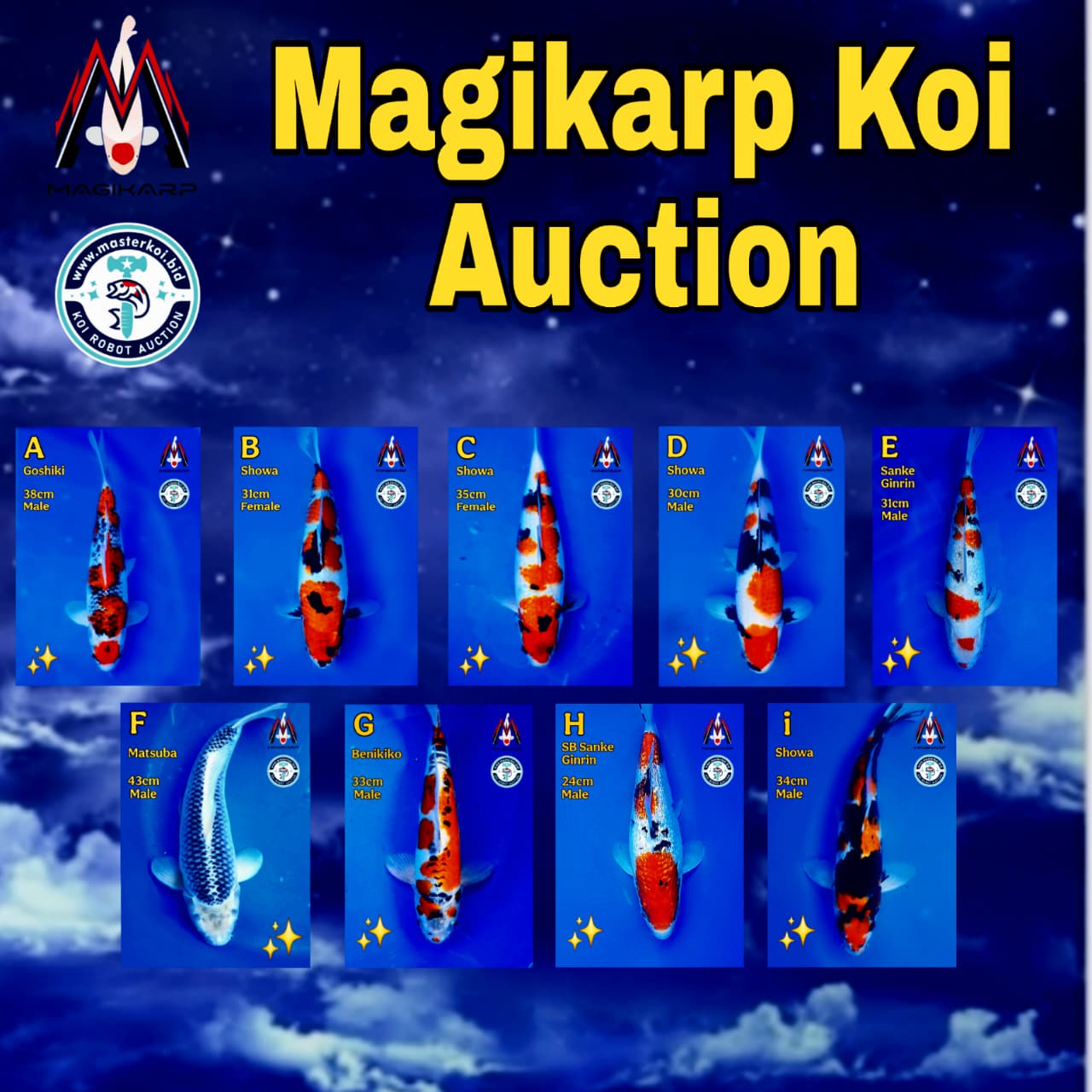 Lelang Koi Online, Jual Beli Ikan Koi, Pasar Koi Terbaik, Agen Lelang Koi, Penawaran Koi Berkualitas, Harga Jual Koi, Lelang Ikan Koi Import, Beli Koi Online, Jual Koi Murah, Koi Showroom, Penjual Koi Terpercaya, Lelang Koi Jakarta, Jual Koi Lokal, Koi Kualitas Unggul, Harga Terbaik Koi, Jual Koi Indukan, Lelang Ikan Hias Koi, Pasar Koi Indonesia, Beli Koi Berkualitas Tinggi, Koi Farm Terbesar, Jual Beli Koi Impor, Lelang Ikan Koi Kualitas Premium, Daftar Harga Koi Terbaru, Pusat Jual Beli Koi, Info Lelang Koi Hari Ini.
