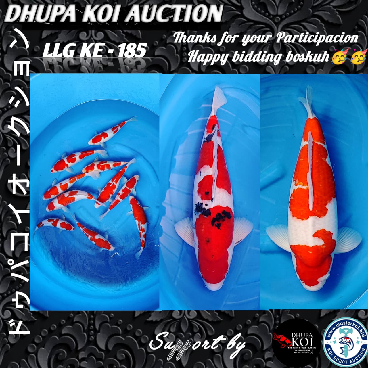 Lelang Koi Online, Jual Beli Ikan Koi, Pasar Koi Terbaik, Agen Lelang Koi, Penawaran Koi Berkualitas, Harga Jual Koi, Lelang Ikan Koi Import, Beli Koi Online, Jual Koi Murah, Koi Showroom, Penjual Koi Terpercaya, Lelang Koi Jakarta, Jual Koi Lokal, Koi Kualitas Unggul, Harga Terbaik Koi, Jual Koi Indukan, Lelang Ikan Hias Koi, Pasar Koi Indonesia, Beli Koi Berkualitas Tinggi, Koi Farm Terbesar, Jual Beli Koi Impor, Lelang Ikan Koi Kualitas Premium, Daftar Harga Koi Terbaru, Pusat Jual Beli Koi, Info Lelang Koi Hari Ini.
