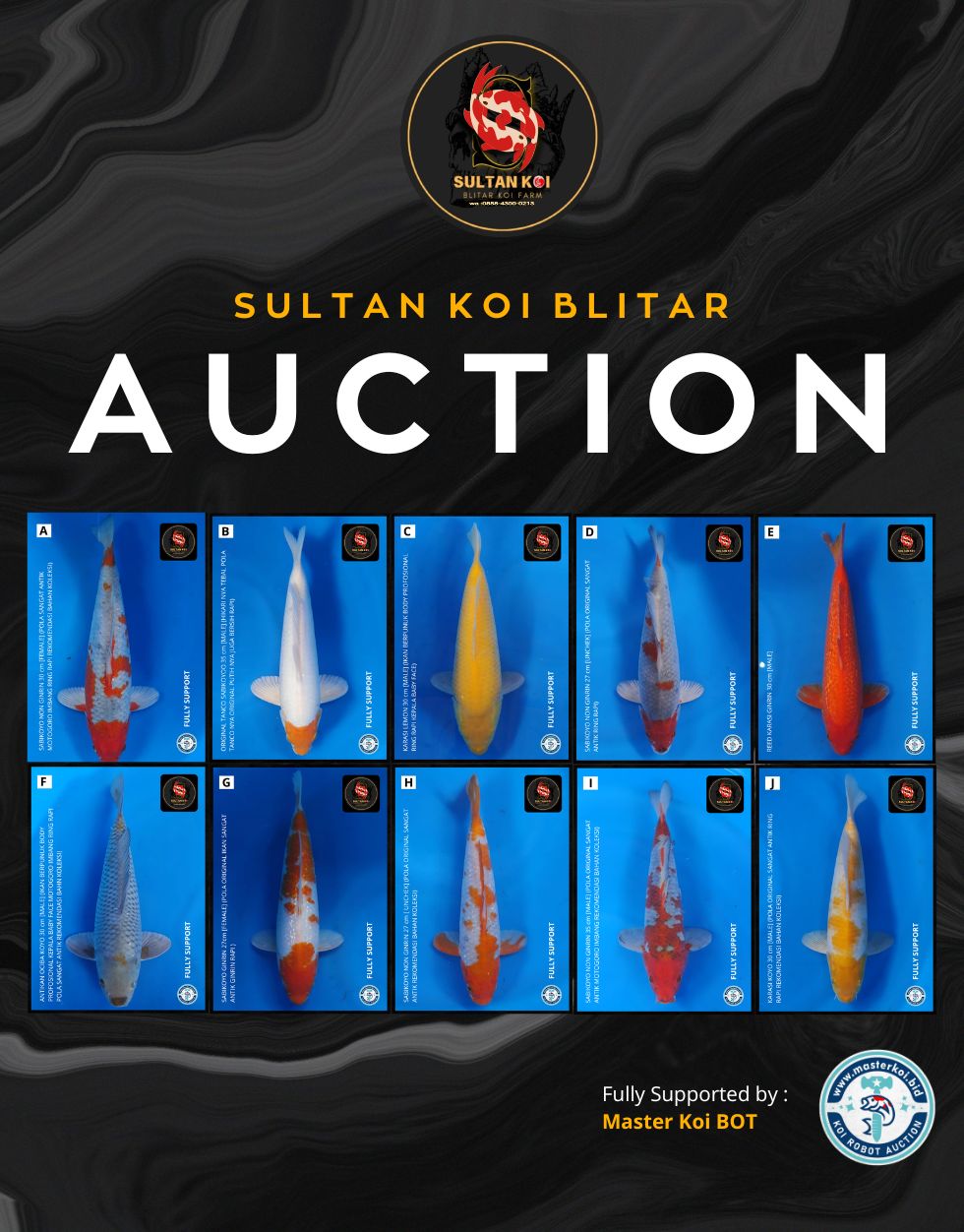 Lelang Koi Online, Jual Beli Ikan Koi, Pasar Koi Terbaik, Agen Lelang Koi, Penawaran Koi Berkualitas, Harga Jual Koi, Lelang Ikan Koi Import, Beli Koi Online, Jual Koi Murah, Koi Showroom, Penjual Koi Terpercaya, Lelang Koi Jakarta, Jual Koi Lokal, Koi Kualitas Unggul, Harga Terbaik Koi, Jual Koi Indukan, Lelang Ikan Hias Koi, Pasar Koi Indonesia, Beli Koi Berkualitas Tinggi, Koi Farm Terbesar, Jual Beli Koi Impor, Lelang Ikan Koi Kualitas Premium, Daftar Harga Koi Terbaru, Pusat Jual Beli Koi, Info Lelang Koi Hari Ini.