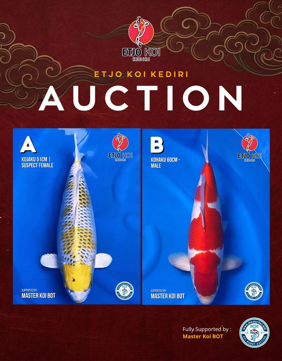 Lelang Koi Online, Jual Beli Ikan Koi, Pasar Koi Terbaik, Agen Lelang Koi, Penawaran Koi Berkualitas, Harga Jual Koi, Lelang Ikan Koi Import, Beli Koi Online, Jual Koi Murah, Koi Showroom, Penjual Koi Terpercaya, Lelang Koi Jakarta, Jual Koi Lokal, Koi Kualitas Unggul, Harga Terbaik Koi, Jual Koi Indukan, Lelang Ikan Hias Koi, Pasar Koi Indonesia, Beli Koi Berkualitas Tinggi, Koi Farm Terbesar, Jual Beli Koi Impor, Lelang Ikan Koi Kualitas Premium, Daftar Harga Koi Terbaru, Pusat Jual Beli Koi, Info Lelang Koi Hari Ini.