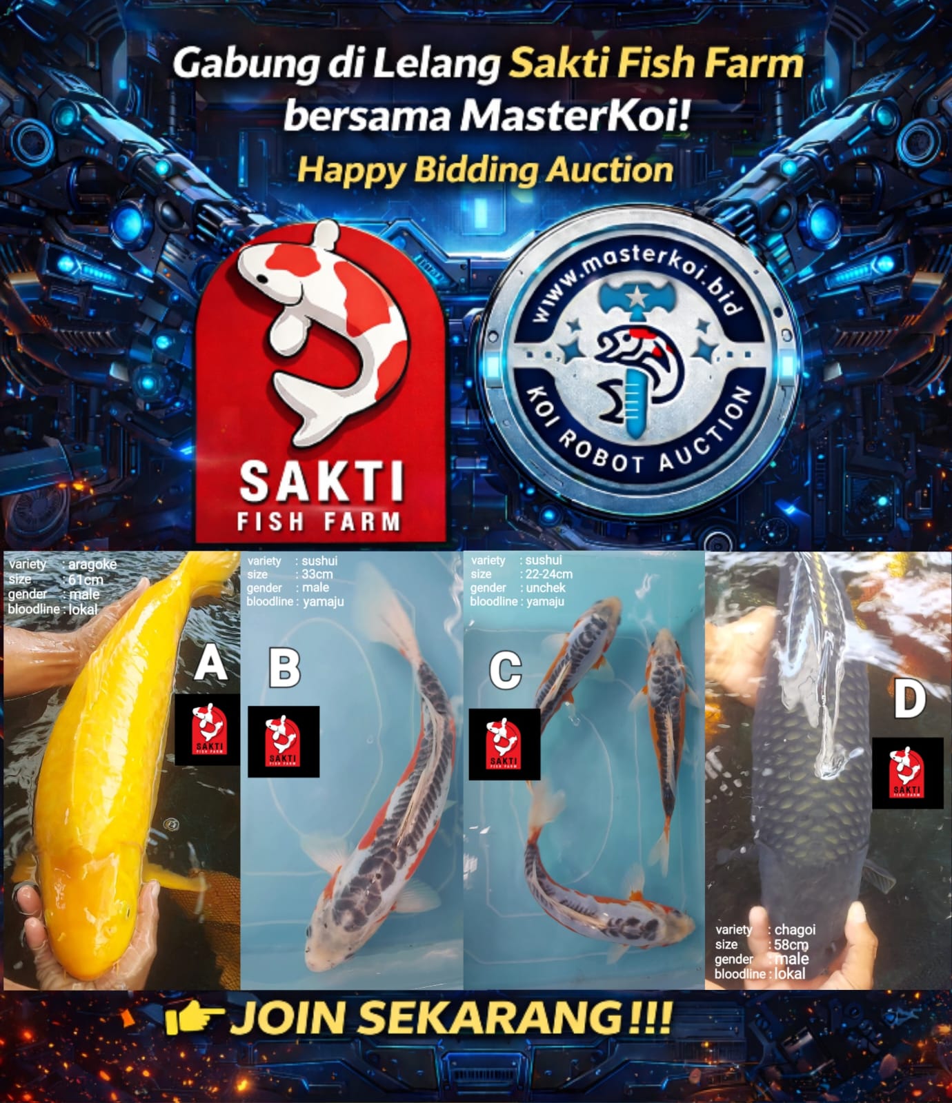 Lelang Koi Online, Jual Beli Ikan Koi, Pasar Koi Terbaik, Agen Lelang Koi, Penawaran Koi Berkualitas, Harga Jual Koi, Lelang Ikan Koi Import, Beli Koi Online, Jual Koi Murah, Koi Showroom, Penjual Koi Terpercaya, Lelang Koi Jakarta, Jual Koi Lokal, Koi Kualitas Unggul, Harga Terbaik Koi, Jual Koi Indukan, Lelang Ikan Hias Koi, Pasar Koi Indonesia, Beli Koi Berkualitas Tinggi, Koi Farm Terbesar, Jual Beli Koi Impor, Lelang Ikan Koi Kualitas Premium, Daftar Harga Koi Terbaru, Pusat Jual Beli Koi, Info Lelang Koi Hari Ini.