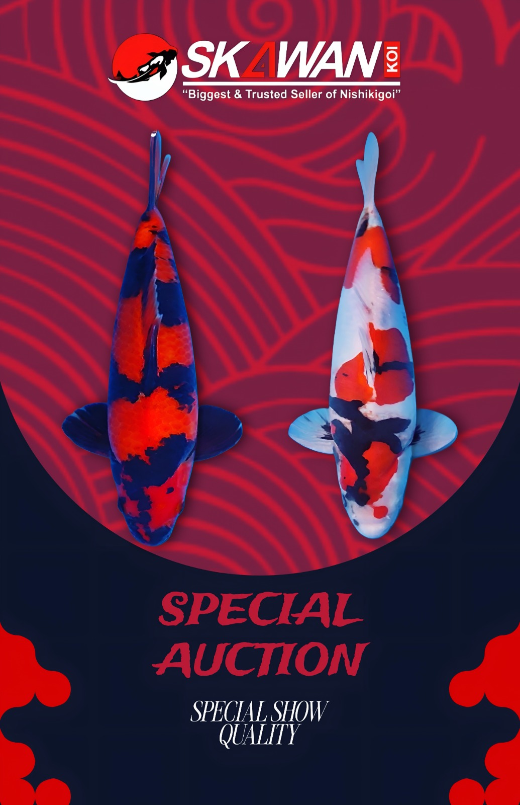 Lelang Koi Online, Jual Beli Ikan Koi, Pasar Koi Terbaik, Agen Lelang Koi, Penawaran Koi Berkualitas, Harga Jual Koi, Lelang Ikan Koi Import, Beli Koi Online, Jual Koi Murah, Koi Showroom, Penjual Koi Terpercaya, Lelang Koi Jakarta, Jual Koi Lokal, Koi Kualitas Unggul, Harga Terbaik Koi, Jual Koi Indukan, Lelang Ikan Hias Koi, Pasar Koi Indonesia, Beli Koi Berkualitas Tinggi, Koi Farm Terbesar, Jual Beli Koi Impor, Lelang Ikan Koi Kualitas Premium, Daftar Harga Koi Terbaru, Pusat Jual Beli Koi, Info Lelang Koi Hari Ini.