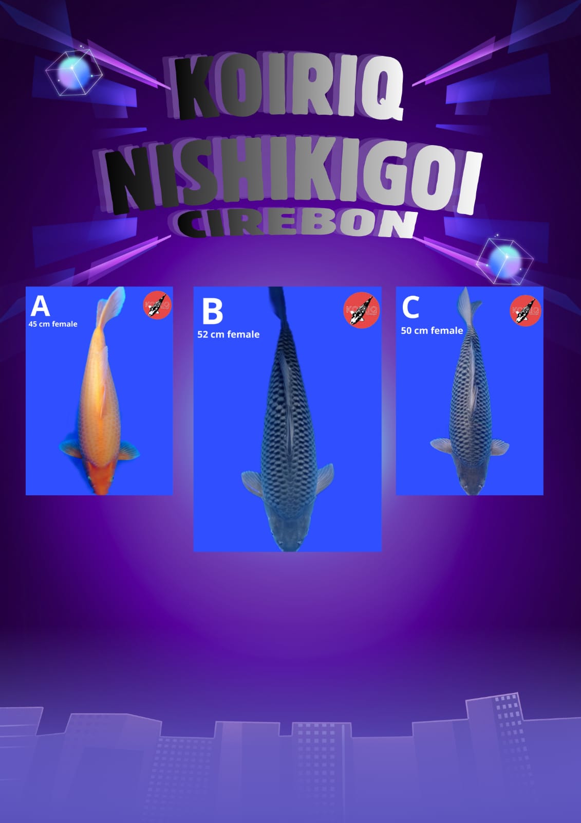 Lelang Koi Online, Jual Beli Ikan Koi, Pasar Koi Terbaik, Agen Lelang Koi, Penawaran Koi Berkualitas, Harga Jual Koi, Lelang Ikan Koi Import, Beli Koi Online, Jual Koi Murah, Koi Showroom, Penjual Koi Terpercaya, Lelang Koi Jakarta, Jual Koi Lokal, Koi Kualitas Unggul, Harga Terbaik Koi, Jual Koi Indukan, Lelang Ikan Hias Koi, Pasar Koi Indonesia, Beli Koi Berkualitas Tinggi, Koi Farm Terbesar, Jual Beli Koi Impor, Lelang Ikan Koi Kualitas Premium, Daftar Harga Koi Terbaru, Pusat Jual Beli Koi, Info Lelang Koi Hari Ini.