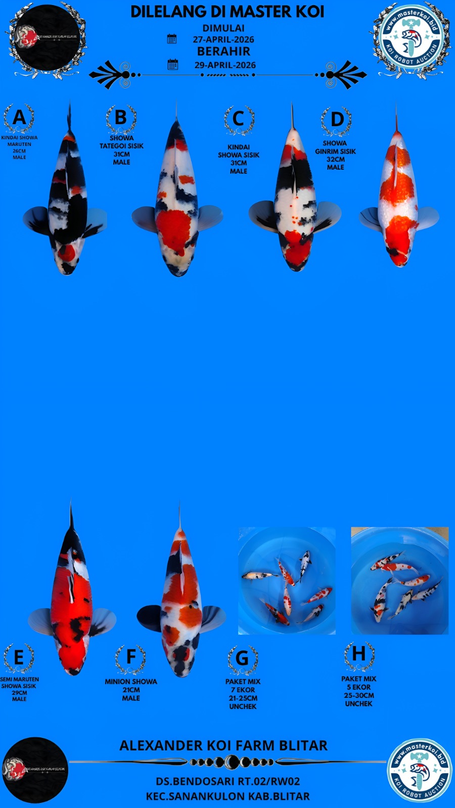 Lelang Koi Online, Jual Beli Ikan Koi, Pasar Koi Terbaik, Agen Lelang Koi, Penawaran Koi Berkualitas, Harga Jual Koi, Lelang Ikan Koi Import, Beli Koi Online, Jual Koi Murah, Koi Showroom, Penjual Koi Terpercaya, Lelang Koi Jakarta, Jual Koi Lokal, Koi Kualitas Unggul, Harga Terbaik Koi, Jual Koi Indukan, Lelang Ikan Hias Koi, Pasar Koi Indonesia, Beli Koi Berkualitas Tinggi, Koi Farm Terbesar, Jual Beli Koi Impor, Lelang Ikan Koi Kualitas Premium, Daftar Harga Koi Terbaru, Pusat Jual Beli Koi, Info Lelang Koi Hari Ini.