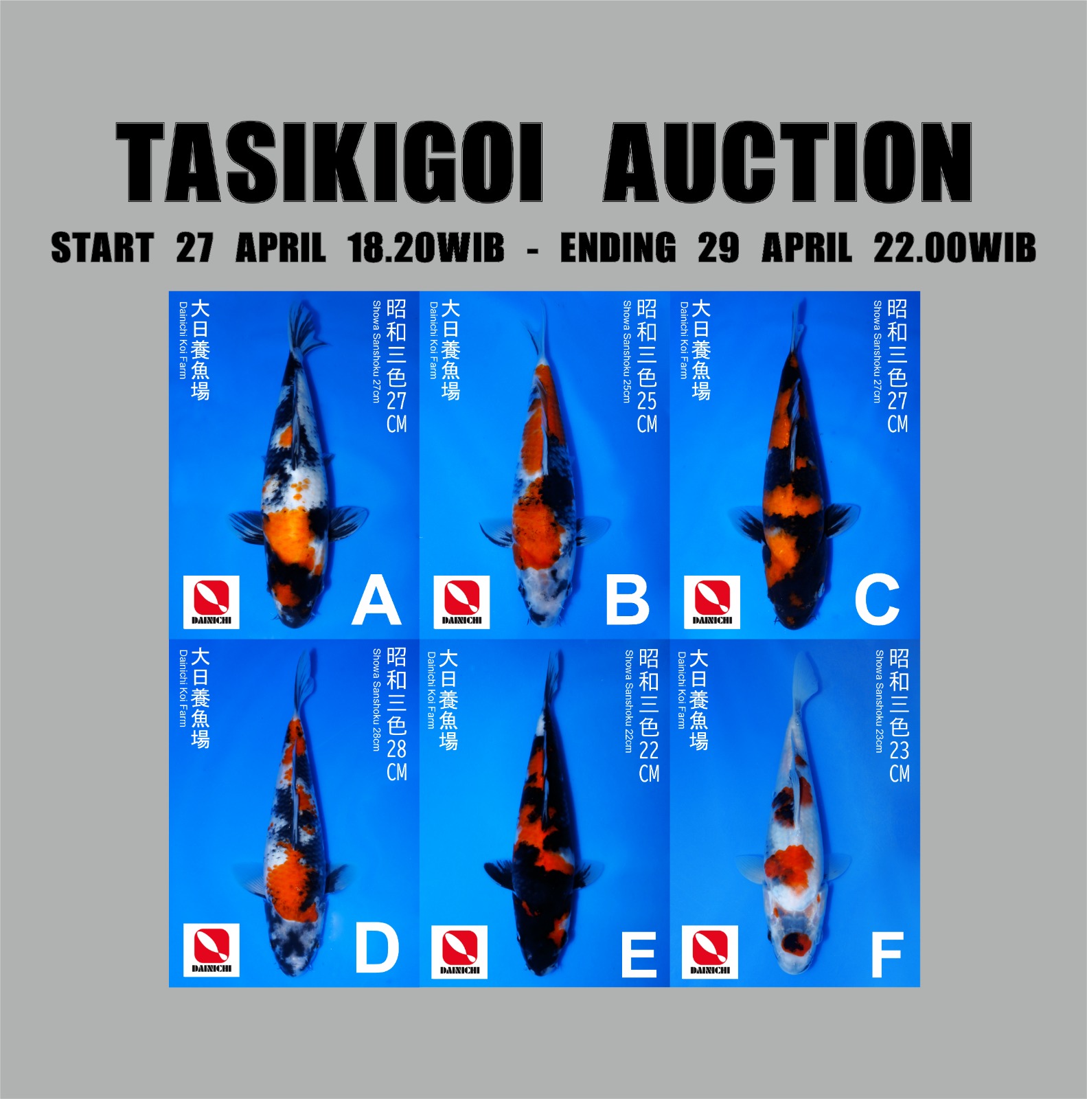 Lelang Koi Online, Jual Beli Ikan Koi, Pasar Koi Terbaik, Agen Lelang Koi, Penawaran Koi Berkualitas, Harga Jual Koi, Lelang Ikan Koi Import, Beli Koi Online, Jual Koi Murah, Koi Showroom, Penjual Koi Terpercaya, Lelang Koi Jakarta, Jual Koi Lokal, Koi Kualitas Unggul, Harga Terbaik Koi, Jual Koi Indukan, Lelang Ikan Hias Koi, Pasar Koi Indonesia, Beli Koi Berkualitas Tinggi, Koi Farm Terbesar, Jual Beli Koi Impor, Lelang Ikan Koi Kualitas Premium, Daftar Harga Koi Terbaru, Pusat Jual Beli Koi, Info Lelang Koi Hari Ini.