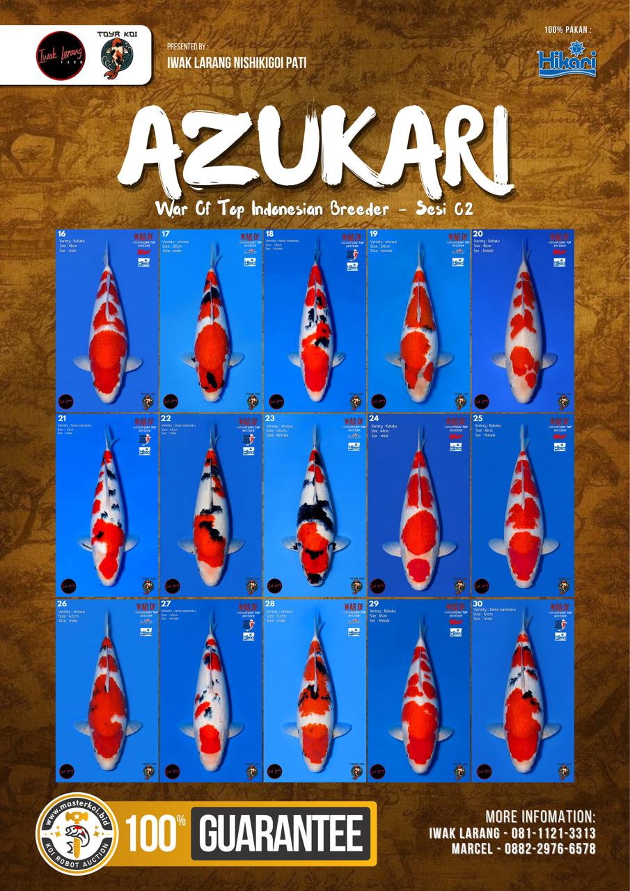 Lelang Koi Online, Jual Beli Ikan Koi, Pasar Koi Terbaik, Agen Lelang Koi, Penawaran Koi Berkualitas, Harga Jual Koi, Lelang Ikan Koi Import, Beli Koi Online, Jual Koi Murah, Koi Showroom, Penjual Koi Terpercaya, Lelang Koi Jakarta, Jual Koi Lokal, Koi Kualitas Unggul, Harga Terbaik Koi, Jual Koi Indukan, Lelang Ikan Hias Koi, Pasar Koi Indonesia, Beli Koi Berkualitas Tinggi, Koi Farm Terbesar, Jual Beli Koi Impor, Lelang Ikan Koi Kualitas Premium, Daftar Harga Koi Terbaru, Pusat Jual Beli Koi, Info Lelang Koi Hari Ini.