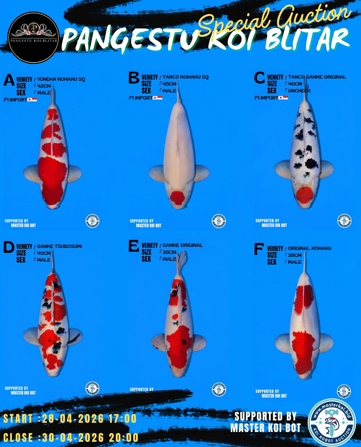 Lelang Koi Online, Jual Beli Ikan Koi, Pasar Koi Terbaik, Agen Lelang Koi, Penawaran Koi Berkualitas, Harga Jual Koi, Lelang Ikan Koi Import, Beli Koi Online, Jual Koi Murah, Koi Showroom, Penjual Koi Terpercaya, Lelang Koi Jakarta, Jual Koi Lokal, Koi Kualitas Unggul, Harga Terbaik Koi, Jual Koi Indukan, Lelang Ikan Hias Koi, Pasar Koi Indonesia, Beli Koi Berkualitas Tinggi, Koi Farm Terbesar, Jual Beli Koi Impor, Lelang Ikan Koi Kualitas Premium, Daftar Harga Koi Terbaru, Pusat Jual Beli Koi, Info Lelang Koi Hari Ini.