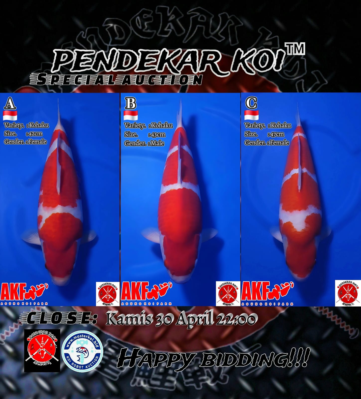 Lelang Koi Online, Jual Beli Ikan Koi, Pasar Koi Terbaik, Agen Lelang Koi, Penawaran Koi Berkualitas, Harga Jual Koi, Lelang Ikan Koi Import, Beli Koi Online, Jual Koi Murah, Koi Showroom, Penjual Koi Terpercaya, Lelang Koi Jakarta, Jual Koi Lokal, Koi Kualitas Unggul, Harga Terbaik Koi, Jual Koi Indukan, Lelang Ikan Hias Koi, Pasar Koi Indonesia, Beli Koi Berkualitas Tinggi, Koi Farm Terbesar, Jual Beli Koi Impor, Lelang Ikan Koi Kualitas Premium, Daftar Harga Koi Terbaru, Pusat Jual Beli Koi, Info Lelang Koi Hari Ini.