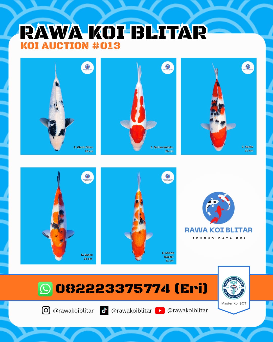 Lelang Koi Online, Jual Beli Ikan Koi, Pasar Koi Terbaik, Agen Lelang Koi, Penawaran Koi Berkualitas, Harga Jual Koi, Lelang Ikan Koi Import, Beli Koi Online, Jual Koi Murah, Koi Showroom, Penjual Koi Terpercaya, Lelang Koi Jakarta, Jual Koi Lokal, Koi Kualitas Unggul, Harga Terbaik Koi, Jual Koi Indukan, Lelang Ikan Hias Koi, Pasar Koi Indonesia, Beli Koi Berkualitas Tinggi, Koi Farm Terbesar, Jual Beli Koi Impor, Lelang Ikan Koi Kualitas Premium, Daftar Harga Koi Terbaru, Pusat Jual Beli Koi, Info Lelang Koi Hari Ini.