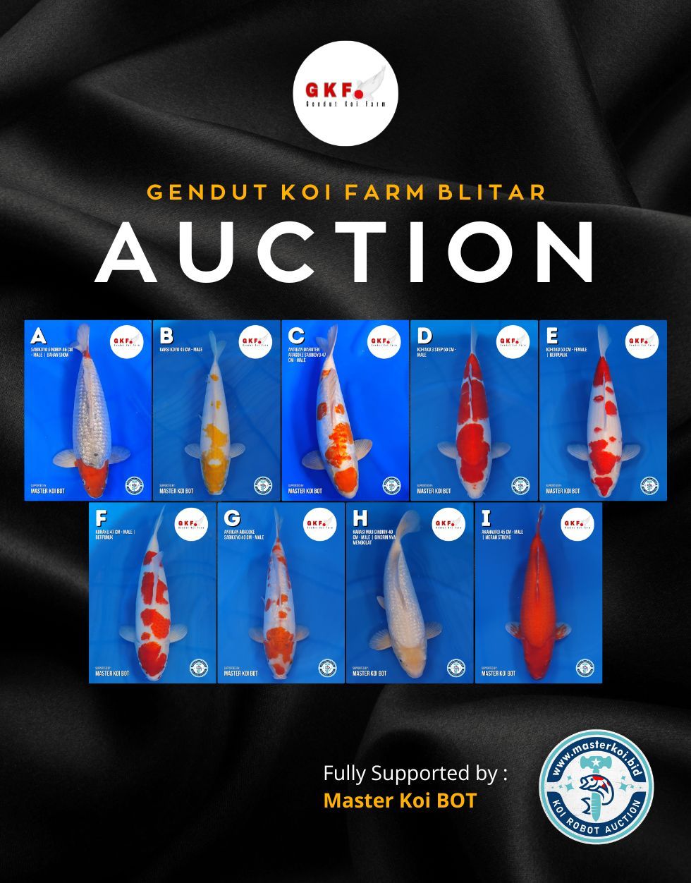 Lelang Koi Online, Jual Beli Ikan Koi, Pasar Koi Terbaik, Agen Lelang Koi, Penawaran Koi Berkualitas, Harga Jual Koi, Lelang Ikan Koi Import, Beli Koi Online, Jual Koi Murah, Koi Showroom, Penjual Koi Terpercaya, Lelang Koi Jakarta, Jual Koi Lokal, Koi Kualitas Unggul, Harga Terbaik Koi, Jual Koi Indukan, Lelang Ikan Hias Koi, Pasar Koi Indonesia, Beli Koi Berkualitas Tinggi, Koi Farm Terbesar, Jual Beli Koi Impor, Lelang Ikan Koi Kualitas Premium, Daftar Harga Koi Terbaru, Pusat Jual Beli Koi, Info Lelang Koi Hari Ini.