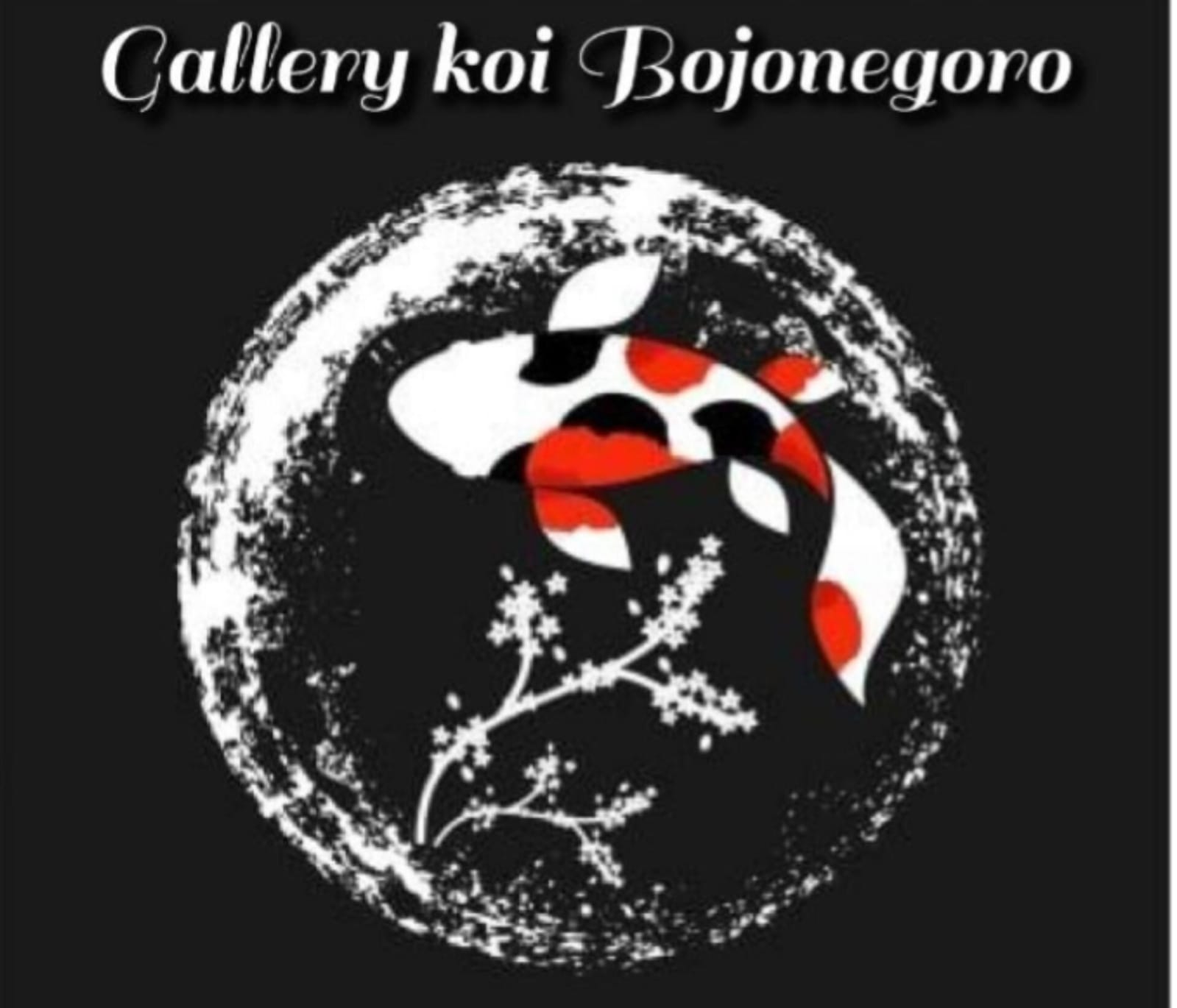 Lelang Koi Online, Jual Beli Ikan Koi, Pasar Koi Terbaik, Agen Lelang Koi, Penawaran Koi Berkualitas, Harga Jual Koi, Lelang Ikan Koi Import, Beli Koi Online, Jual Koi Murah, Koi Showroom, Penjual Koi Terpercaya, Lelang Koi Jakarta, Jual Koi Lokal, Koi Kualitas Unggul, Harga Terbaik Koi, Jual Koi Indukan, Lelang Ikan Hias Koi, Pasar Koi Indonesia, Beli Koi Berkualitas Tinggi, Koi Farm Terbesar, Jual Beli Koi Impor, Lelang Ikan Koi Kualitas Premium, Daftar Harga Koi Terbaru, Pusat Jual Beli Koi, Info Lelang Koi Hari Ini.