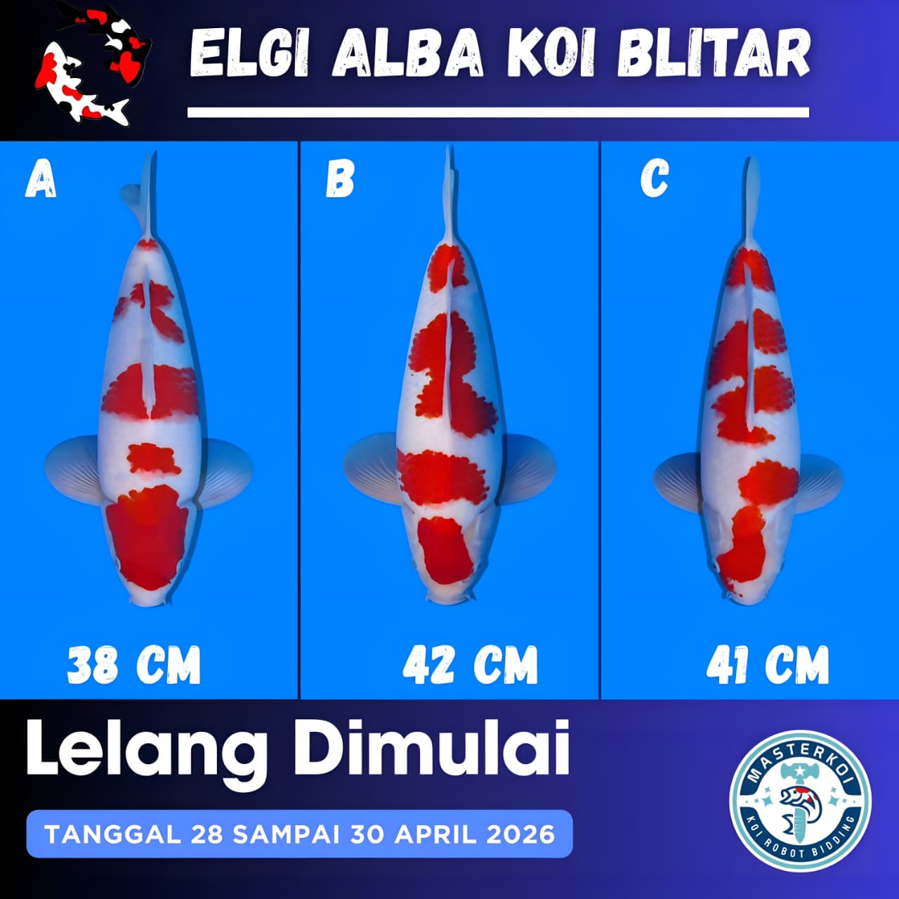 Lelang Koi Online, Jual Beli Ikan Koi, Pasar Koi Terbaik, Agen Lelang Koi, Penawaran Koi Berkualitas, Harga Jual Koi, Lelang Ikan Koi Import, Beli Koi Online, Jual Koi Murah, Koi Showroom, Penjual Koi Terpercaya, Lelang Koi Jakarta, Jual Koi Lokal, Koi Kualitas Unggul, Harga Terbaik Koi, Jual Koi Indukan, Lelang Ikan Hias Koi, Pasar Koi Indonesia, Beli Koi Berkualitas Tinggi, Koi Farm Terbesar, Jual Beli Koi Impor, Lelang Ikan Koi Kualitas Premium, Daftar Harga Koi Terbaru, Pusat Jual Beli Koi, Info Lelang Koi Hari Ini.