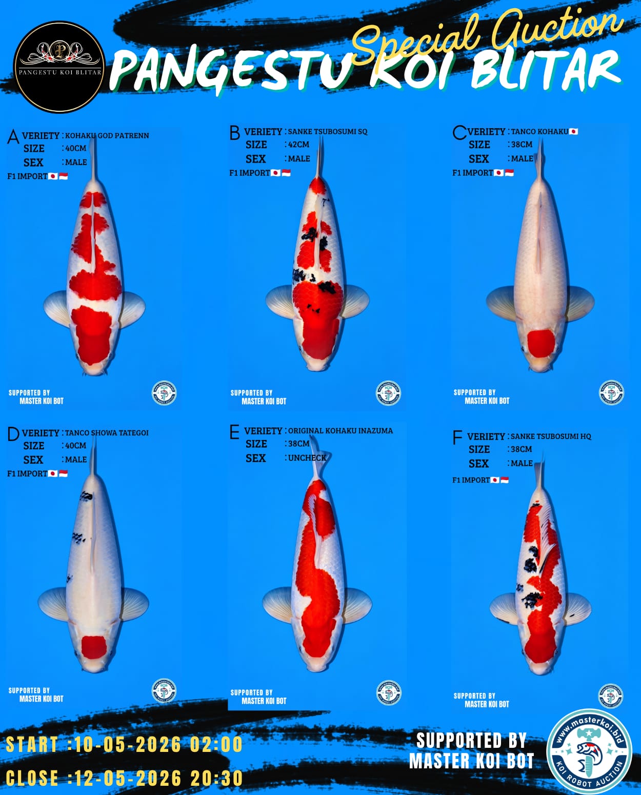 Lelang Koi Online, Jual Beli Ikan Koi, Pasar Koi Terbaik, Agen Lelang Koi, Penawaran Koi Berkualitas, Harga Jual Koi, Lelang Ikan Koi Import, Beli Koi Online, Jual Koi Murah, Koi Showroom, Penjual Koi Terpercaya, Lelang Koi Jakarta, Jual Koi Lokal, Koi Kualitas Unggul, Harga Terbaik Koi, Jual Koi Indukan, Lelang Ikan Hias Koi, Pasar Koi Indonesia, Beli Koi Berkualitas Tinggi, Koi Farm Terbesar, Jual Beli Koi Impor, Lelang Ikan Koi Kualitas Premium, Daftar Harga Koi Terbaru, Pusat Jual Beli Koi, Info Lelang Koi Hari Ini.