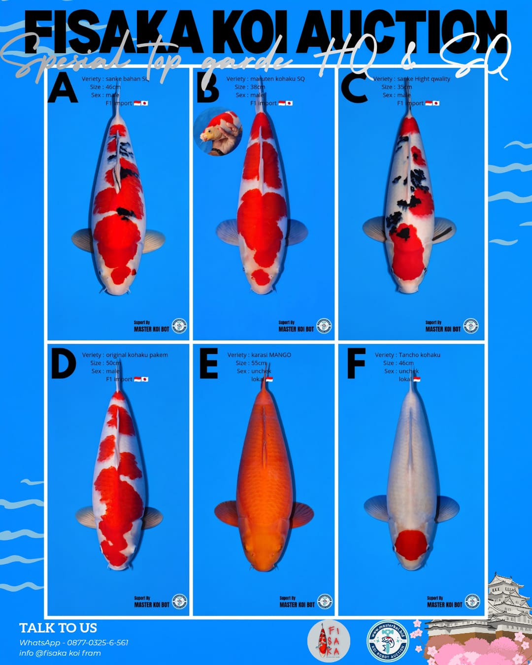 Lelang Koi Online, Jual Beli Ikan Koi, Pasar Koi Terbaik, Agen Lelang Koi, Penawaran Koi Berkualitas, Harga Jual Koi, Lelang Ikan Koi Import, Beli Koi Online, Jual Koi Murah, Koi Showroom, Penjual Koi Terpercaya, Lelang Koi Jakarta, Jual Koi Lokal, Koi Kualitas Unggul, Harga Terbaik Koi, Jual Koi Indukan, Lelang Ikan Hias Koi, Pasar Koi Indonesia, Beli Koi Berkualitas Tinggi, Koi Farm Terbesar, Jual Beli Koi Impor, Lelang Ikan Koi Kualitas Premium, Daftar Harga Koi Terbaru, Pusat Jual Beli Koi, Info Lelang Koi Hari Ini.