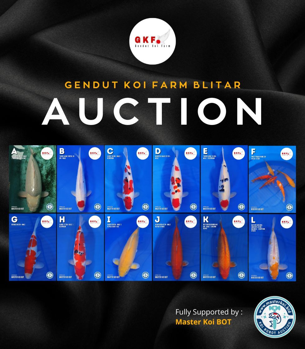 Lelang Koi Online, Jual Beli Ikan Koi, Pasar Koi Terbaik, Agen Lelang Koi, Penawaran Koi Berkualitas, Harga Jual Koi, Lelang Ikan Koi Import, Beli Koi Online, Jual Koi Murah, Koi Showroom, Penjual Koi Terpercaya, Lelang Koi Jakarta, Jual Koi Lokal, Koi Kualitas Unggul, Harga Terbaik Koi, Jual Koi Indukan, Lelang Ikan Hias Koi, Pasar Koi Indonesia, Beli Koi Berkualitas Tinggi, Koi Farm Terbesar, Jual Beli Koi Impor, Lelang Ikan Koi Kualitas Premium, Daftar Harga Koi Terbaru, Pusat Jual Beli Koi, Info Lelang Koi Hari Ini.