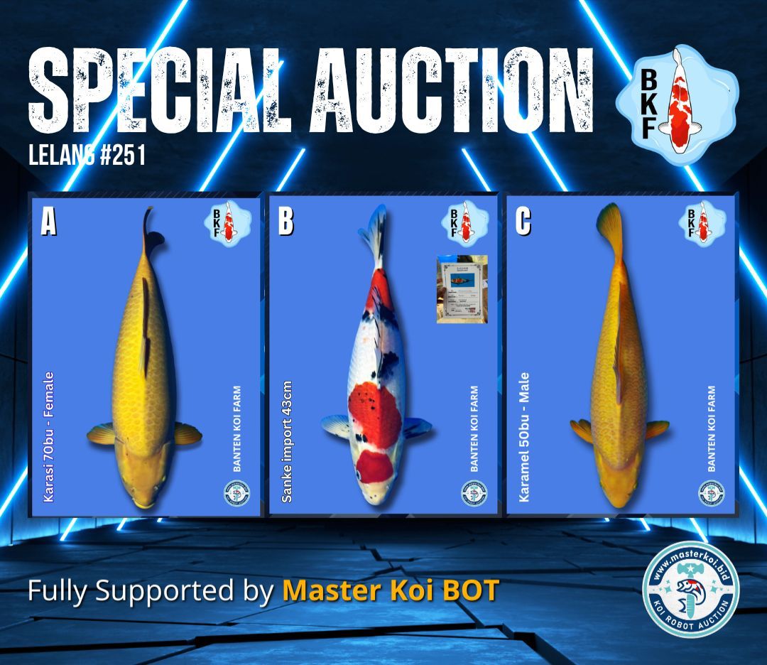 Lelang Koi Online, Jual Beli Ikan Koi, Pasar Koi Terbaik, Agen Lelang Koi, Penawaran Koi Berkualitas, Harga Jual Koi, Lelang Ikan Koi Import, Beli Koi Online, Jual Koi Murah, Koi Showroom, Penjual Koi Terpercaya, Lelang Koi Jakarta, Jual Koi Lokal, Koi Kualitas Unggul, Harga Terbaik Koi, Jual Koi Indukan, Lelang Ikan Hias Koi, Pasar Koi Indonesia, Beli Koi Berkualitas Tinggi, Koi Farm Terbesar, Jual Beli Koi Impor, Lelang Ikan Koi Kualitas Premium, Daftar Harga Koi Terbaru, Pusat Jual Beli Koi, Info Lelang Koi Hari Ini.