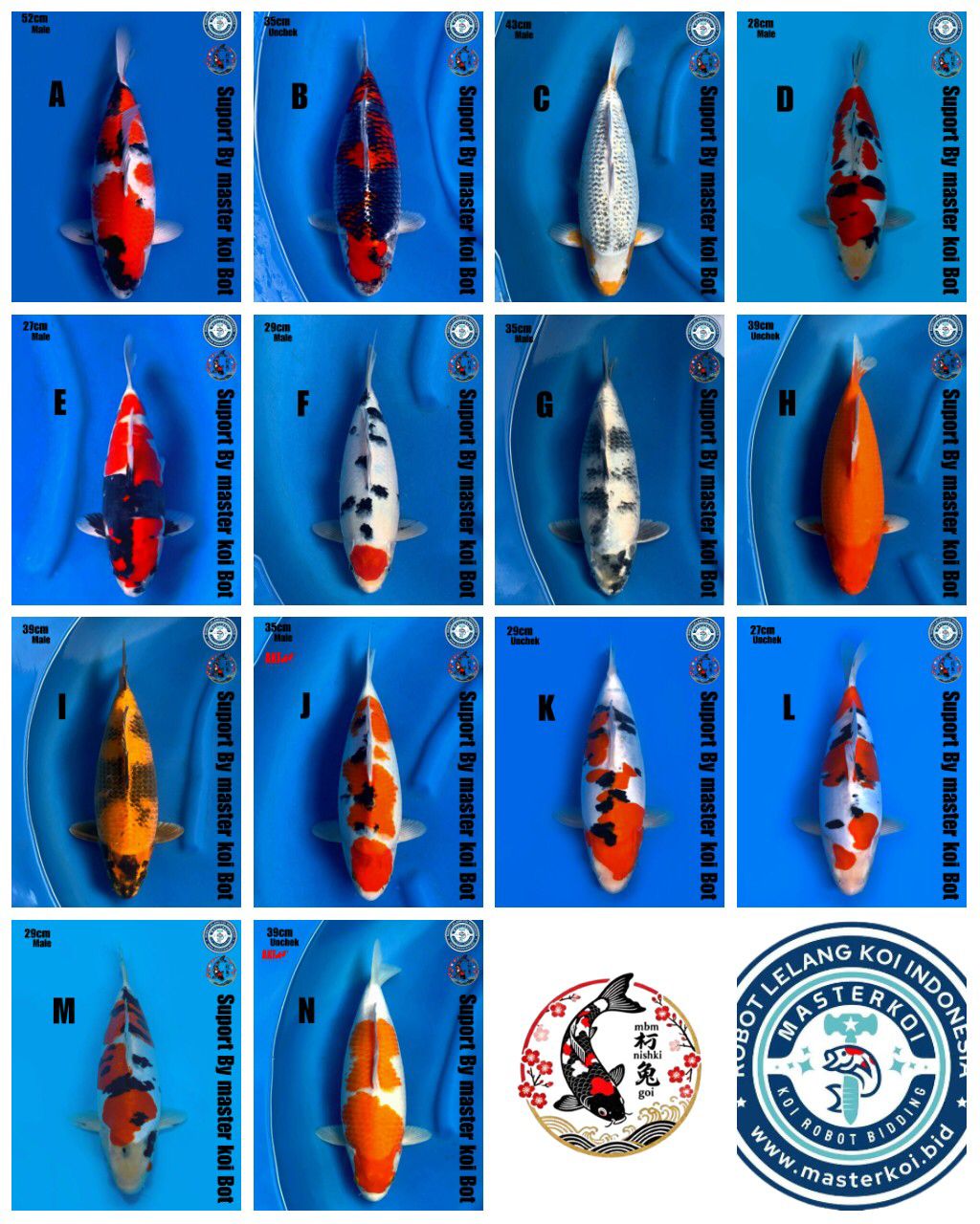 Lelang Koi Online, Jual Beli Ikan Koi, Pasar Koi Terbaik, Agen Lelang Koi, Penawaran Koi Berkualitas, Harga Jual Koi, Lelang Ikan Koi Import, Beli Koi Online, Jual Koi Murah, Koi Showroom, Penjual Koi Terpercaya, Lelang Koi Jakarta, Jual Koi Lokal, Koi Kualitas Unggul, Harga Terbaik Koi, Jual Koi Indukan, Lelang Ikan Hias Koi, Pasar Koi Indonesia, Beli Koi Berkualitas Tinggi, Koi Farm Terbesar, Jual Beli Koi Impor, Lelang Ikan Koi Kualitas Premium, Daftar Harga Koi Terbaru, Pusat Jual Beli Koi, Info Lelang Koi Hari Ini.