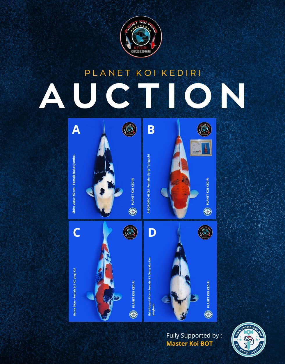 Lelang Koi Online, Jual Beli Ikan Koi, Pasar Koi Terbaik, Agen Lelang Koi, Penawaran Koi Berkualitas, Harga Jual Koi, Lelang Ikan Koi Import, Beli Koi Online, Jual Koi Murah, Koi Showroom, Penjual Koi Terpercaya, Lelang Koi Jakarta, Jual Koi Lokal, Koi Kualitas Unggul, Harga Terbaik Koi, Jual Koi Indukan, Lelang Ikan Hias Koi, Pasar Koi Indonesia, Beli Koi Berkualitas Tinggi, Koi Farm Terbesar, Jual Beli Koi Impor, Lelang Ikan Koi Kualitas Premium, Daftar Harga Koi Terbaru, Pusat Jual Beli Koi, Info Lelang Koi Hari Ini.