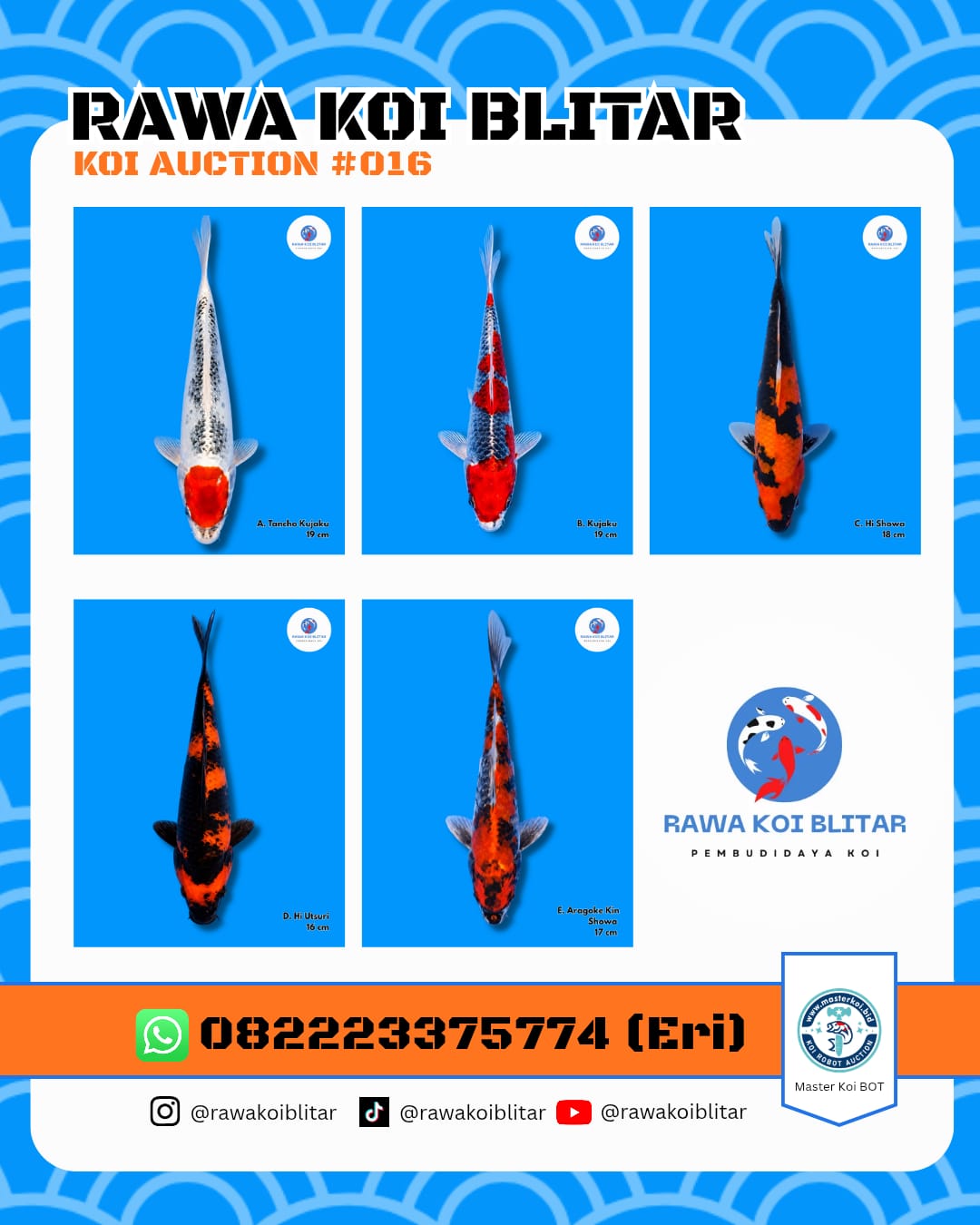 Lelang Koi Online, Jual Beli Ikan Koi, Pasar Koi Terbaik, Agen Lelang Koi, Penawaran Koi Berkualitas, Harga Jual Koi, Lelang Ikan Koi Import, Beli Koi Online, Jual Koi Murah, Koi Showroom, Penjual Koi Terpercaya, Lelang Koi Jakarta, Jual Koi Lokal, Koi Kualitas Unggul, Harga Terbaik Koi, Jual Koi Indukan, Lelang Ikan Hias Koi, Pasar Koi Indonesia, Beli Koi Berkualitas Tinggi, Koi Farm Terbesar, Jual Beli Koi Impor, Lelang Ikan Koi Kualitas Premium, Daftar Harga Koi Terbaru, Pusat Jual Beli Koi, Info Lelang Koi Hari Ini.