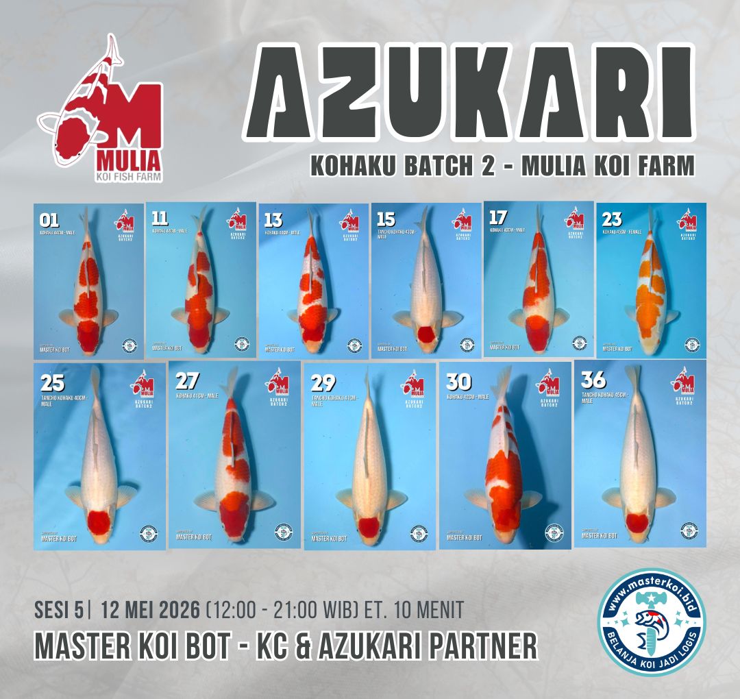 Lelang Koi Online, Jual Beli Ikan Koi, Pasar Koi Terbaik, Agen Lelang Koi, Penawaran Koi Berkualitas, Harga Jual Koi, Lelang Ikan Koi Import, Beli Koi Online, Jual Koi Murah, Koi Showroom, Penjual Koi Terpercaya, Lelang Koi Jakarta, Jual Koi Lokal, Koi Kualitas Unggul, Harga Terbaik Koi, Jual Koi Indukan, Lelang Ikan Hias Koi, Pasar Koi Indonesia, Beli Koi Berkualitas Tinggi, Koi Farm Terbesar, Jual Beli Koi Impor, Lelang Ikan Koi Kualitas Premium, Daftar Harga Koi Terbaru, Pusat Jual Beli Koi, Info Lelang Koi Hari Ini.
