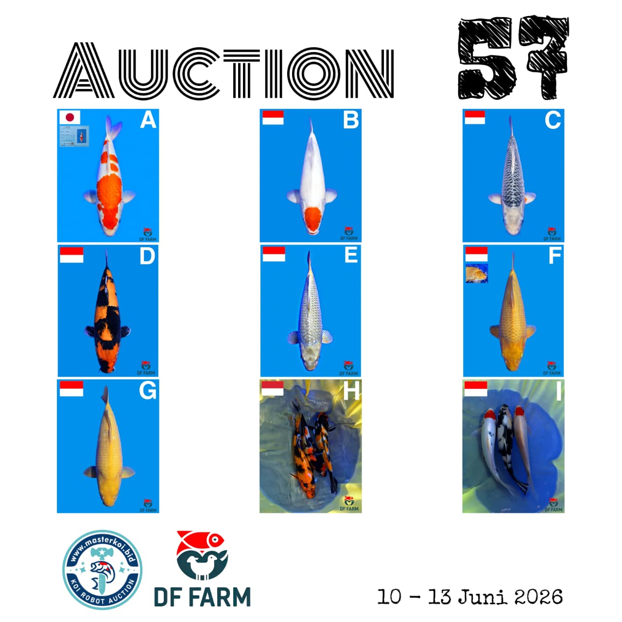 Lelang Koi Online, Jual Beli Ikan Koi, Pasar Koi Terbaik, Agen Lelang Koi, Penawaran Koi Berkualitas, Harga Jual Koi, Lelang Ikan Koi Import, Beli Koi Online, Jual Koi Murah, Koi Showroom, Penjual Koi Terpercaya, Lelang Koi Jakarta, Jual Koi Lokal, Koi Kualitas Unggul, Harga Terbaik Koi, Jual Koi Indukan, Lelang Ikan Hias Koi, Pasar Koi Indonesia, Beli Koi Berkualitas Tinggi, Koi Farm Terbesar, Jual Beli Koi Impor, Lelang Ikan Koi Kualitas Premium, Daftar Harga Koi Terbaru, Pusat Jual Beli Koi, Info Lelang Koi Hari Ini.