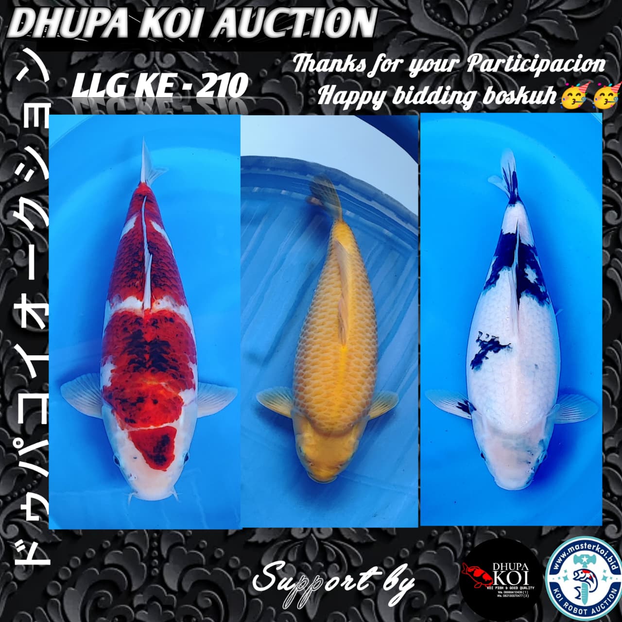 Lelang Koi Online, Jual Beli Ikan Koi, Pasar Koi Terbaik, Agen Lelang Koi, Penawaran Koi Berkualitas, Harga Jual Koi, Lelang Ikan Koi Import, Beli Koi Online, Jual Koi Murah, Koi Showroom, Penjual Koi Terpercaya, Lelang Koi Jakarta, Jual Koi Lokal, Koi Kualitas Unggul, Harga Terbaik Koi, Jual Koi Indukan, Lelang Ikan Hias Koi, Pasar Koi Indonesia, Beli Koi Berkualitas Tinggi, Koi Farm Terbesar, Jual Beli Koi Impor, Lelang Ikan Koi Kualitas Premium, Daftar Harga Koi Terbaru, Pusat Jual Beli Koi, Info Lelang Koi Hari Ini.