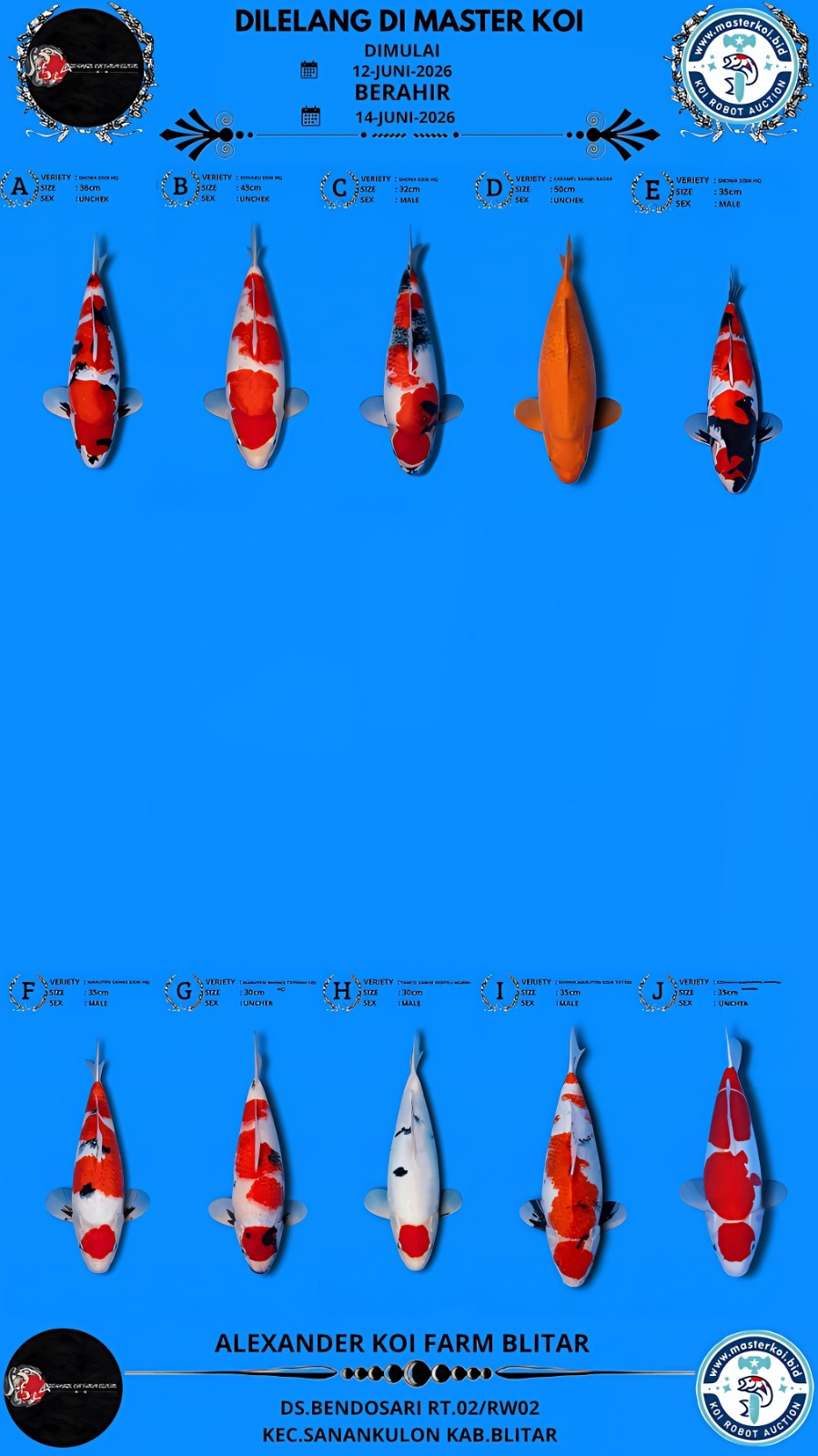 Lelang Koi Online, Jual Beli Ikan Koi, Pasar Koi Terbaik, Agen Lelang Koi, Penawaran Koi Berkualitas, Harga Jual Koi, Lelang Ikan Koi Import, Beli Koi Online, Jual Koi Murah, Koi Showroom, Penjual Koi Terpercaya, Lelang Koi Jakarta, Jual Koi Lokal, Koi Kualitas Unggul, Harga Terbaik Koi, Jual Koi Indukan, Lelang Ikan Hias Koi, Pasar Koi Indonesia, Beli Koi Berkualitas Tinggi, Koi Farm Terbesar, Jual Beli Koi Impor, Lelang Ikan Koi Kualitas Premium, Daftar Harga Koi Terbaru, Pusat Jual Beli Koi, Info Lelang Koi Hari Ini.
