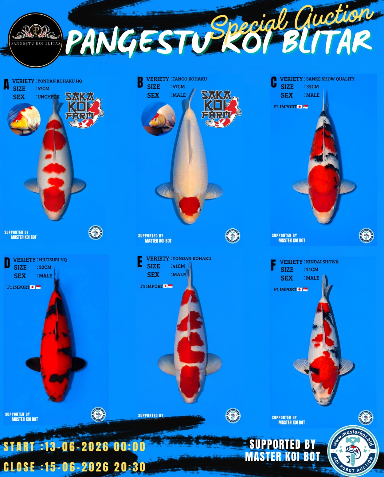 Lelang Koi Online, Jual Beli Ikan Koi, Pasar Koi Terbaik, Agen Lelang Koi, Penawaran Koi Berkualitas, Harga Jual Koi, Lelang Ikan Koi Import, Beli Koi Online, Jual Koi Murah, Koi Showroom, Penjual Koi Terpercaya, Lelang Koi Jakarta, Jual Koi Lokal, Koi Kualitas Unggul, Harga Terbaik Koi, Jual Koi Indukan, Lelang Ikan Hias Koi, Pasar Koi Indonesia, Beli Koi Berkualitas Tinggi, Koi Farm Terbesar, Jual Beli Koi Impor, Lelang Ikan Koi Kualitas Premium, Daftar Harga Koi Terbaru, Pusat Jual Beli Koi, Info Lelang Koi Hari Ini.