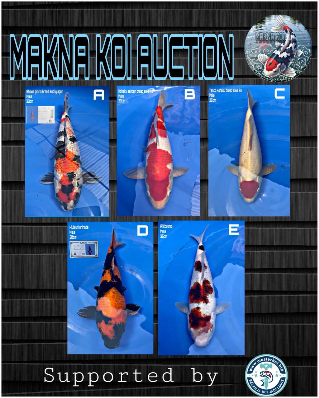 Lelang Koi Online, Jual Beli Ikan Koi, Pasar Koi Terbaik, Agen Lelang Koi, Penawaran Koi Berkualitas, Harga Jual Koi, Lelang Ikan Koi Import, Beli Koi Online, Jual Koi Murah, Koi Showroom, Penjual Koi Terpercaya, Lelang Koi Jakarta, Jual Koi Lokal, Koi Kualitas Unggul, Harga Terbaik Koi, Jual Koi Indukan, Lelang Ikan Hias Koi, Pasar Koi Indonesia, Beli Koi Berkualitas Tinggi, Koi Farm Terbesar, Jual Beli Koi Impor, Lelang Ikan Koi Kualitas Premium, Daftar Harga Koi Terbaru, Pusat Jual Beli Koi, Info Lelang Koi Hari Ini.