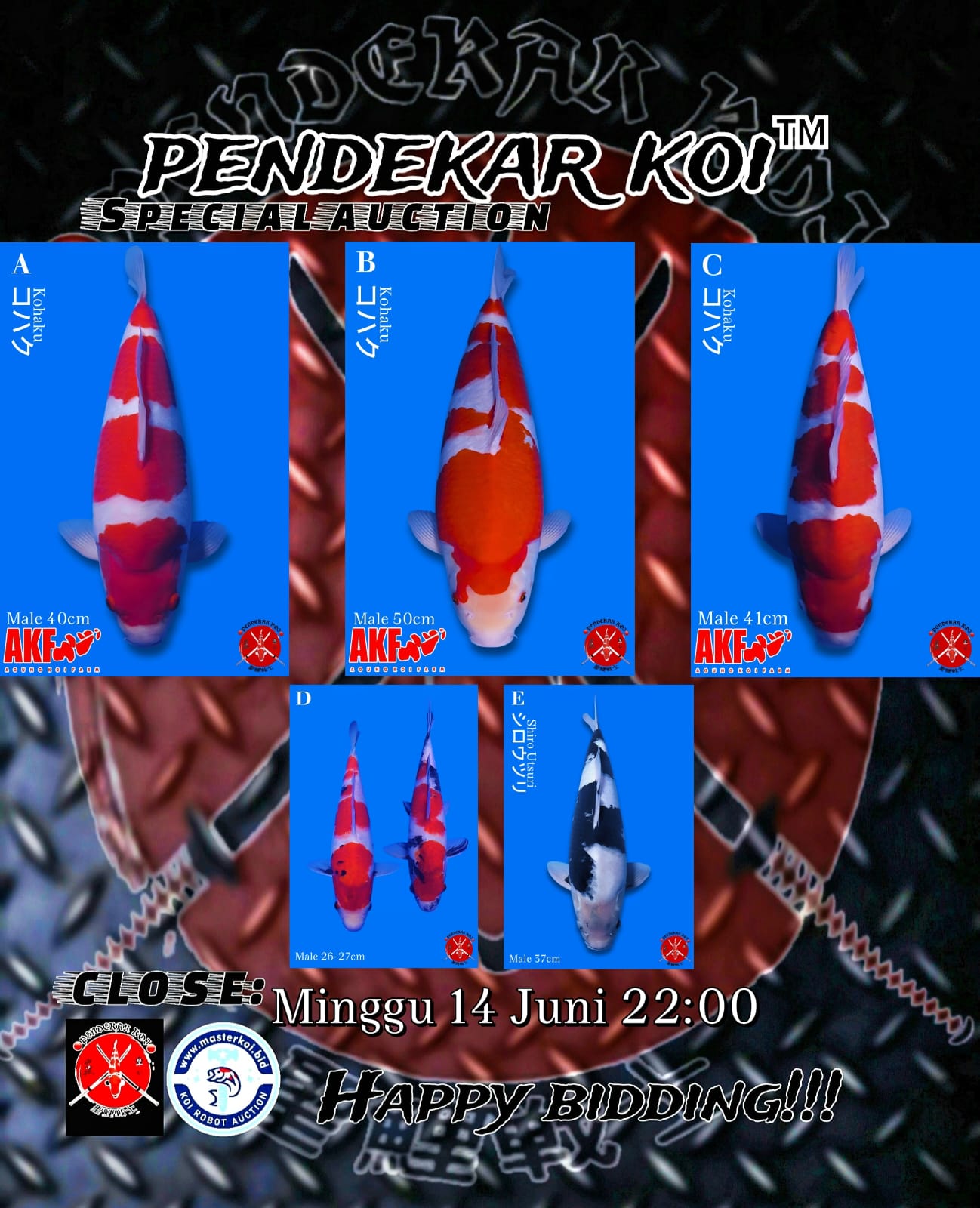 Lelang Koi Online, Jual Beli Ikan Koi, Pasar Koi Terbaik, Agen Lelang Koi, Penawaran Koi Berkualitas, Harga Jual Koi, Lelang Ikan Koi Import, Beli Koi Online, Jual Koi Murah, Koi Showroom, Penjual Koi Terpercaya, Lelang Koi Jakarta, Jual Koi Lokal, Koi Kualitas Unggul, Harga Terbaik Koi, Jual Koi Indukan, Lelang Ikan Hias Koi, Pasar Koi Indonesia, Beli Koi Berkualitas Tinggi, Koi Farm Terbesar, Jual Beli Koi Impor, Lelang Ikan Koi Kualitas Premium, Daftar Harga Koi Terbaru, Pusat Jual Beli Koi, Info Lelang Koi Hari Ini.