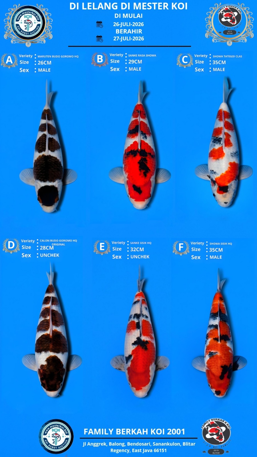 Lelang Koi Online, Jual Beli Ikan Koi, Pasar Koi Terbaik, Agen Lelang Koi, Penawaran Koi Berkualitas, Harga Jual Koi, Lelang Ikan Koi Import, Beli Koi Online, Jual Koi Murah, Koi Showroom, Penjual Koi Terpercaya, Lelang Koi Jakarta, Jual Koi Lokal, Koi Kualitas Unggul, Harga Terbaik Koi, Jual Koi Indukan, Lelang Ikan Hias Koi, Pasar Koi Indonesia, Beli Koi Berkualitas Tinggi, Koi Farm Terbesar, Jual Beli Koi Impor, Lelang Ikan Koi Kualitas Premium, Daftar Harga Koi Terbaru, Pusat Jual Beli Koi, Info Lelang Koi Hari Ini.