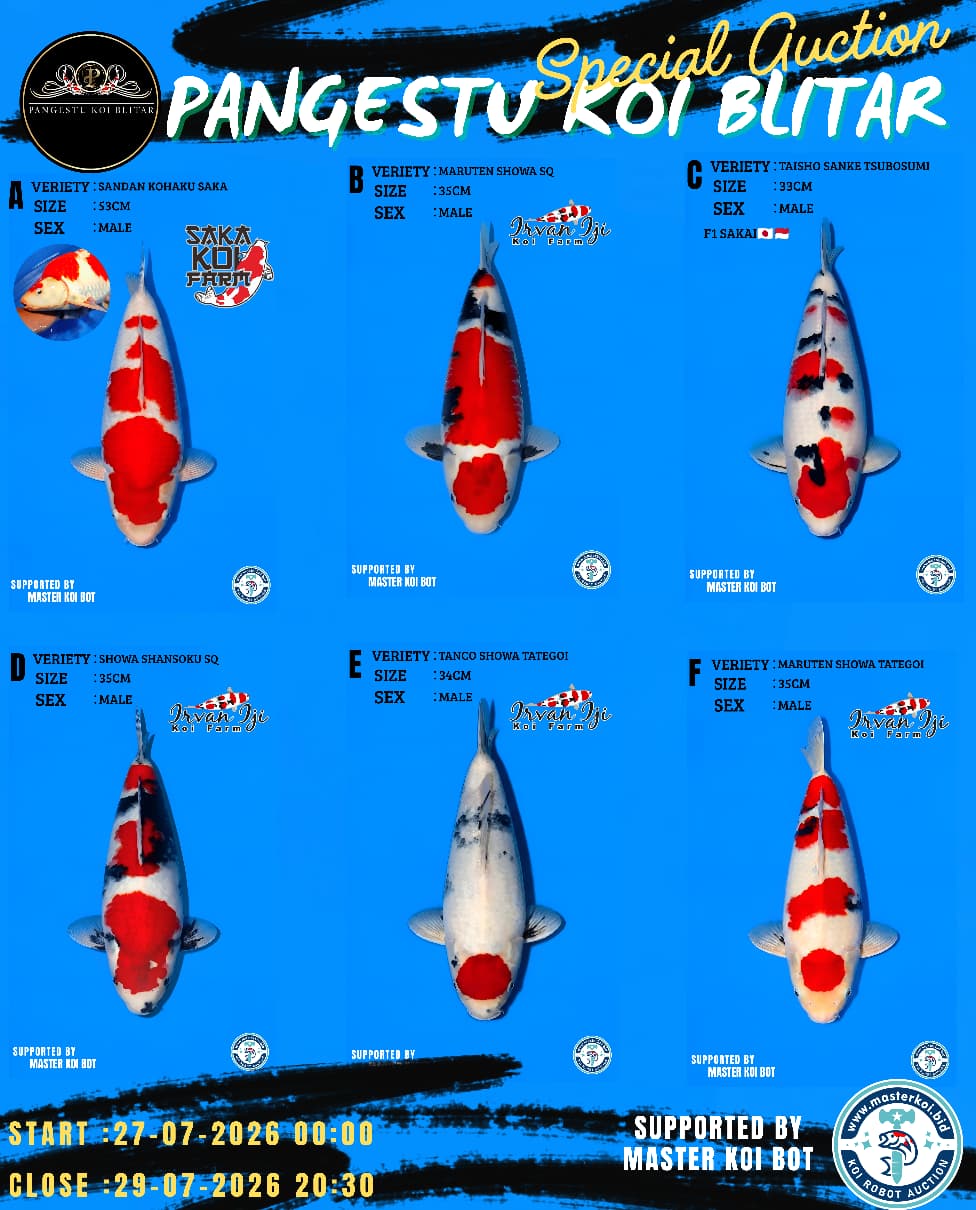 Lelang Koi Online, Jual Beli Ikan Koi, Pasar Koi Terbaik, Agen Lelang Koi, Penawaran Koi Berkualitas, Harga Jual Koi, Lelang Ikan Koi Import, Beli Koi Online, Jual Koi Murah, Koi Showroom, Penjual Koi Terpercaya, Lelang Koi Jakarta, Jual Koi Lokal, Koi Kualitas Unggul, Harga Terbaik Koi, Jual Koi Indukan, Lelang Ikan Hias Koi, Pasar Koi Indonesia, Beli Koi Berkualitas Tinggi, Koi Farm Terbesar, Jual Beli Koi Impor, Lelang Ikan Koi Kualitas Premium, Daftar Harga Koi Terbaru, Pusat Jual Beli Koi, Info Lelang Koi Hari Ini.