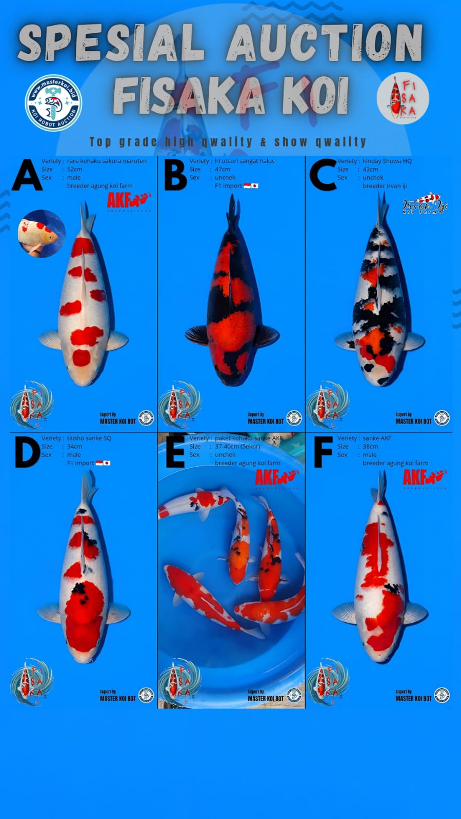 Lelang Koi Online, Jual Beli Ikan Koi, Pasar Koi Terbaik, Agen Lelang Koi, Penawaran Koi Berkualitas, Harga Jual Koi, Lelang Ikan Koi Import, Beli Koi Online, Jual Koi Murah, Koi Showroom, Penjual Koi Terpercaya, Lelang Koi Jakarta, Jual Koi Lokal, Koi Kualitas Unggul, Harga Terbaik Koi, Jual Koi Indukan, Lelang Ikan Hias Koi, Pasar Koi Indonesia, Beli Koi Berkualitas Tinggi, Koi Farm Terbesar, Jual Beli Koi Impor, Lelang Ikan Koi Kualitas Premium, Daftar Harga Koi Terbaru, Pusat Jual Beli Koi, Info Lelang Koi Hari Ini.